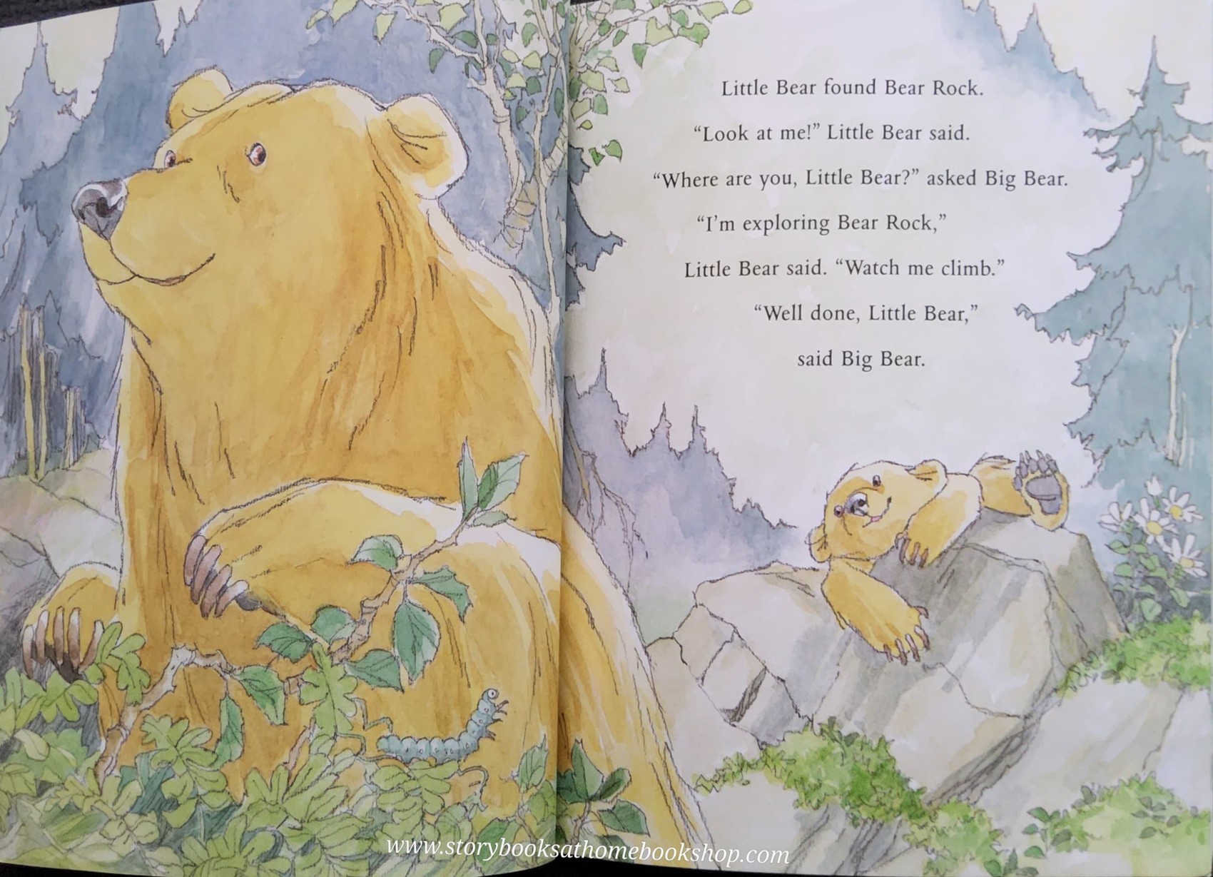 หนังสือนิทานปกอ่อน ** 🍓WELL DONE,LITTLE BEAR BY MARTIN WADDELL.BARNARA FIRTH