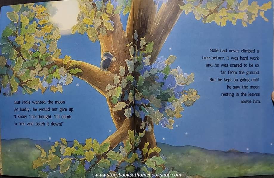 หนังสือนิทานปกอ่อน ** 🍅🍓BRINGING DOWN THE MOON