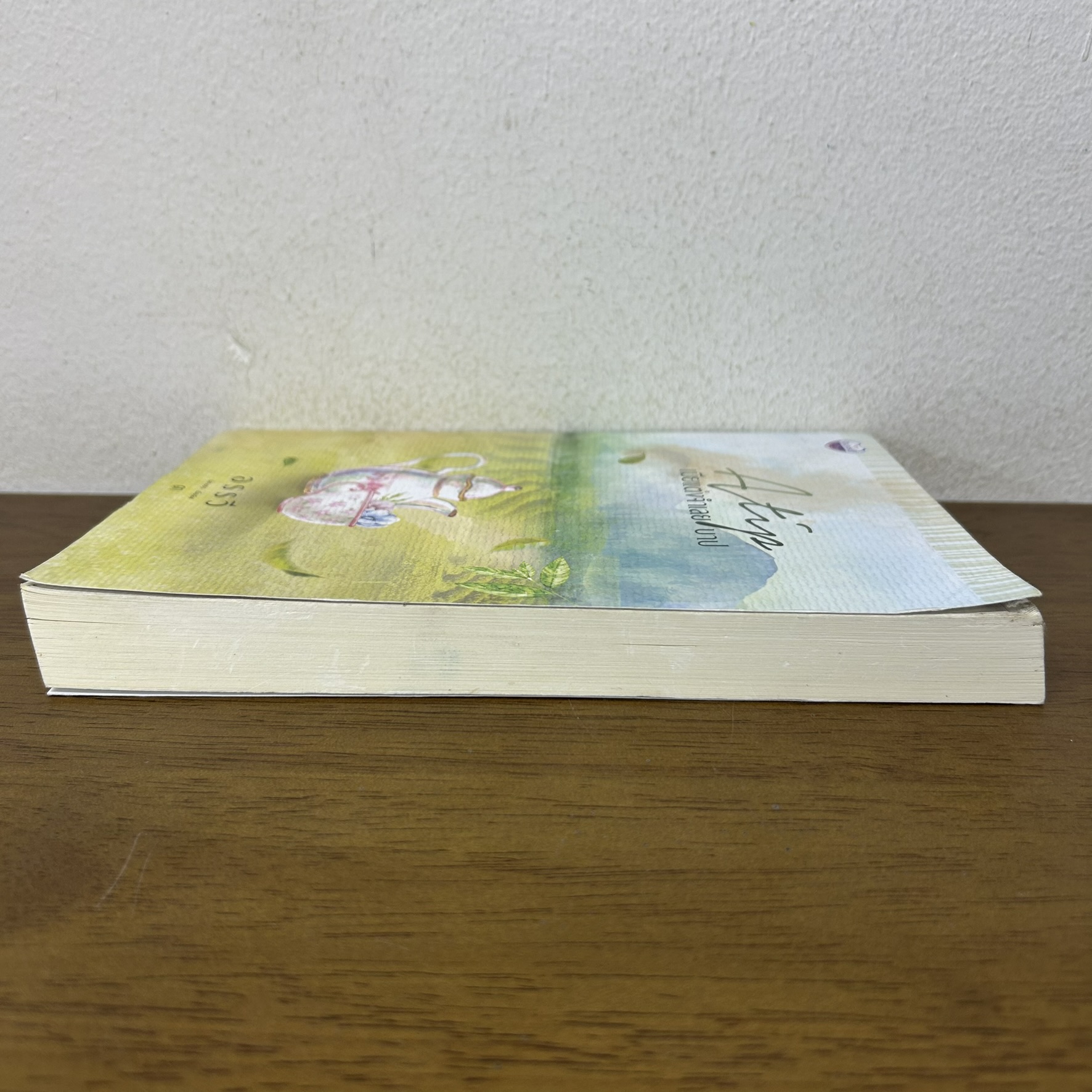 เมียแต่งจำเลยบาป ... อรรวี (มือสอง) นิยาย โรมานซ์ ทำมือ