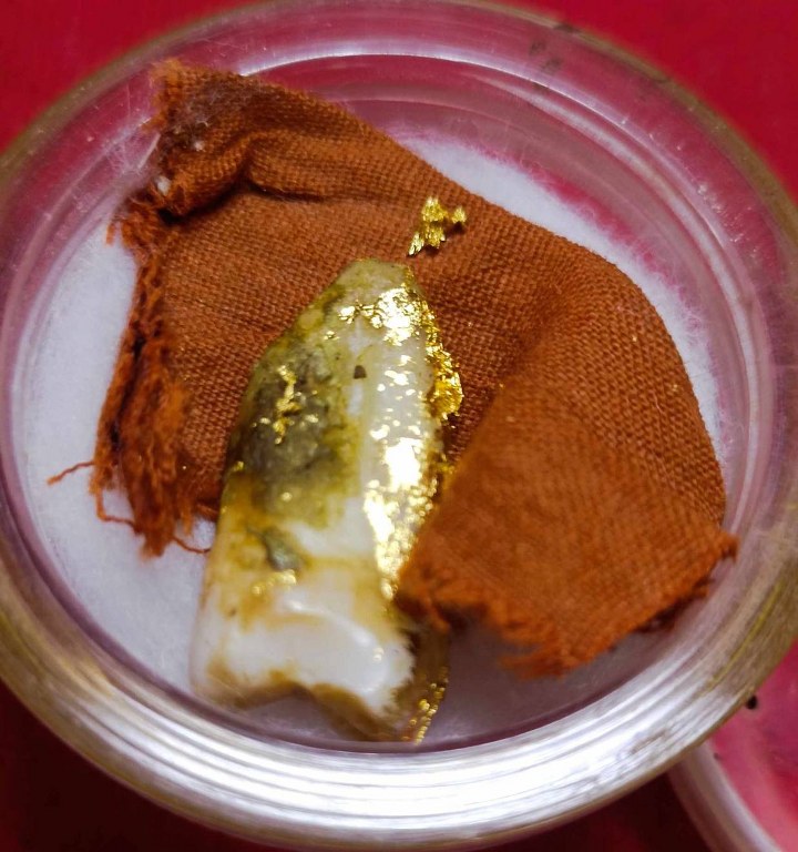 พระทันตธาตุ ครูบาธรรมธิ วัดสันป่าตึง อ.แม่แตง จ.เชียงใหม่ ได้มาจากพ่อหนานจักร อายุ 82 ปี ปัจจุบัน (พ.ศ.2567) ยังมีชีวิตอยู่ แม่แตง จ.เชียงใหม่ เคยบวชรับใช้ครูบาธรรมธิ ตั้งแต่ปี 2529 - 2536 และสึกในปี 2540 ท่านได้พระทันตธาตุนี้มาเมื่อปี 2536