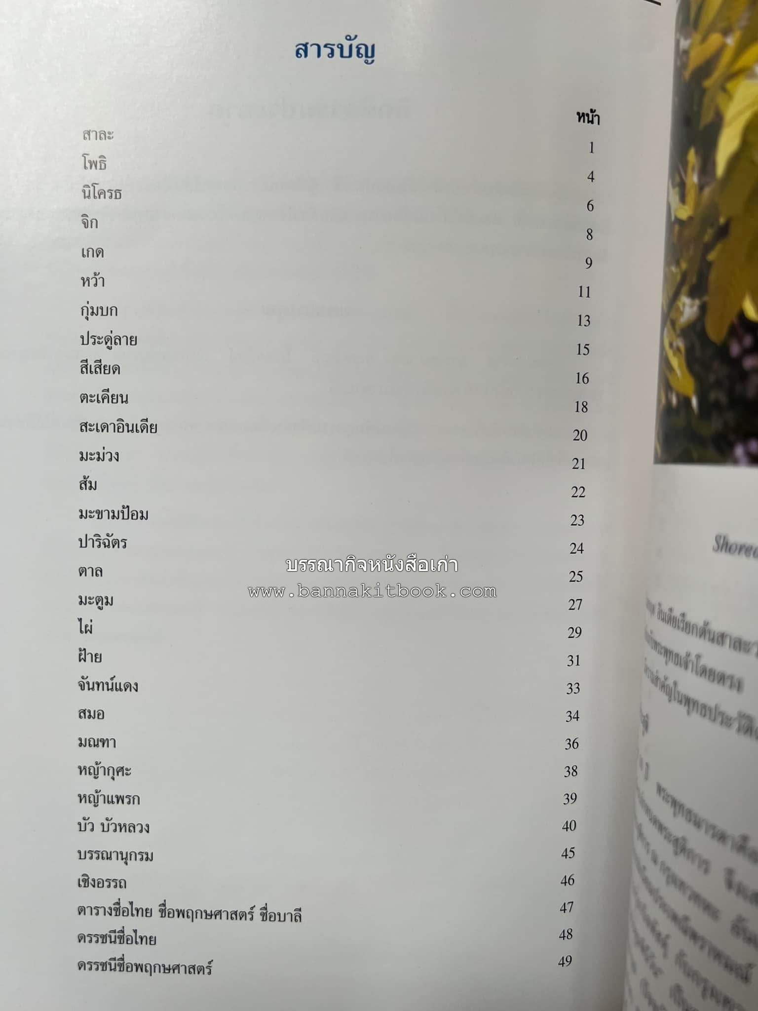 ไม้พุทธประวัติ โดย : ศาสตราจารย์กิตติคุณ ดร.พเยาว์ เหมือนวงษ์ญาติ ราชบัณฑิต ผู้เชี่ยวชาญเภสัชวิทยา และสมุนไพรไทย.