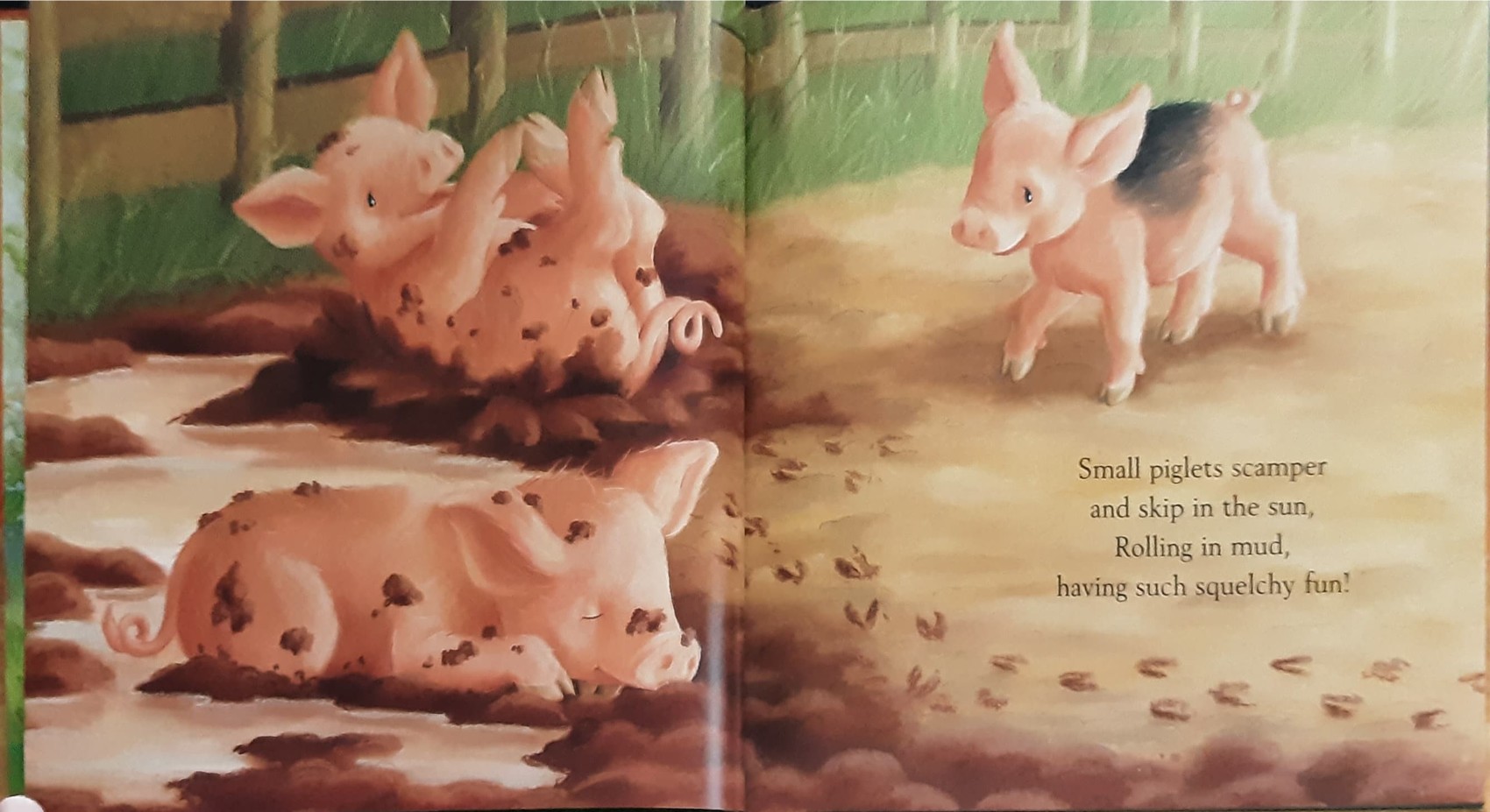 หนังสือนิทานปกแข็ง ** 🍅🍓 ONE MAGICAL DAY