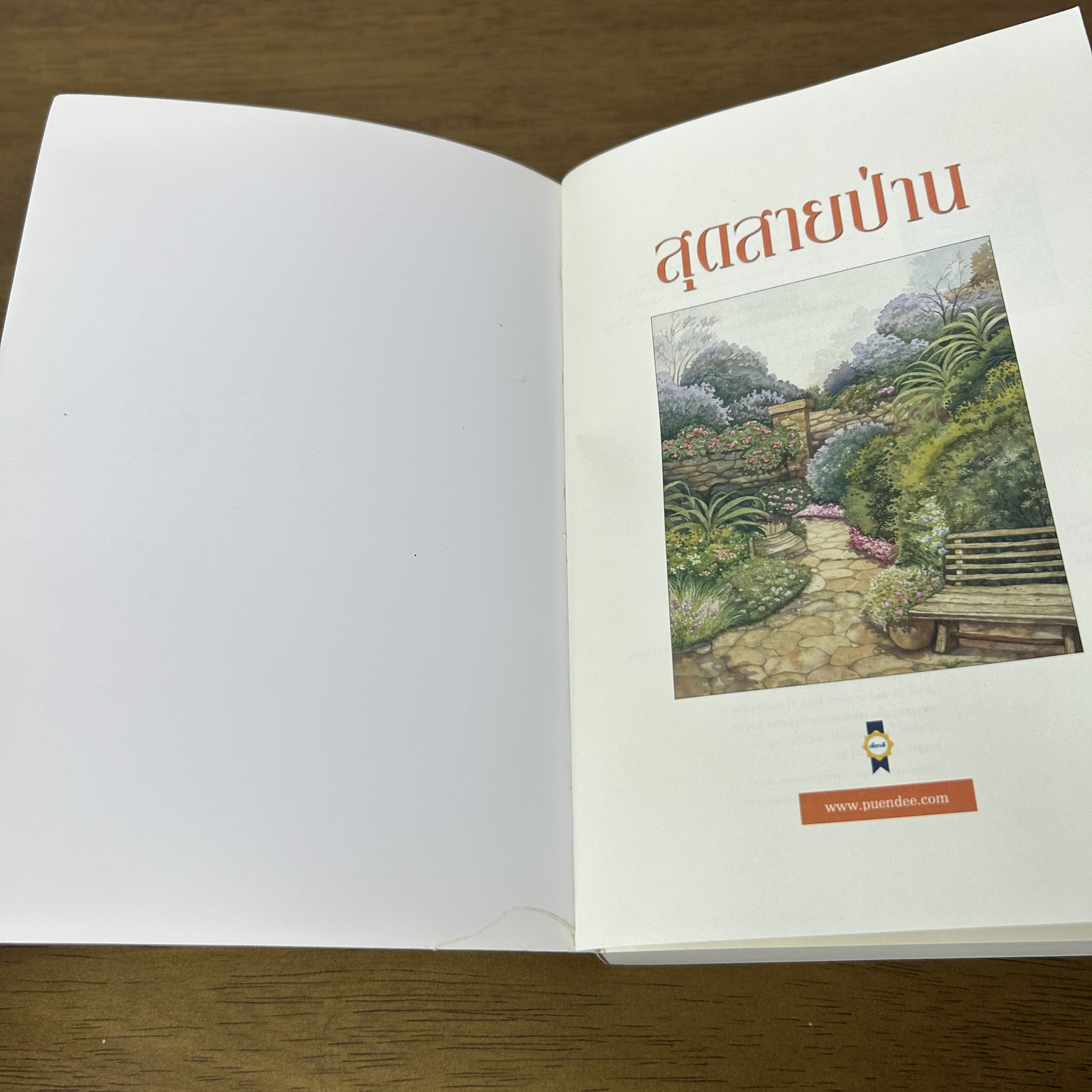 สุดสายป่าน ... ชูวงศ์ ฉายะจินดา (มือสอง) นิยาย โรแมนติก เพื่อนดี