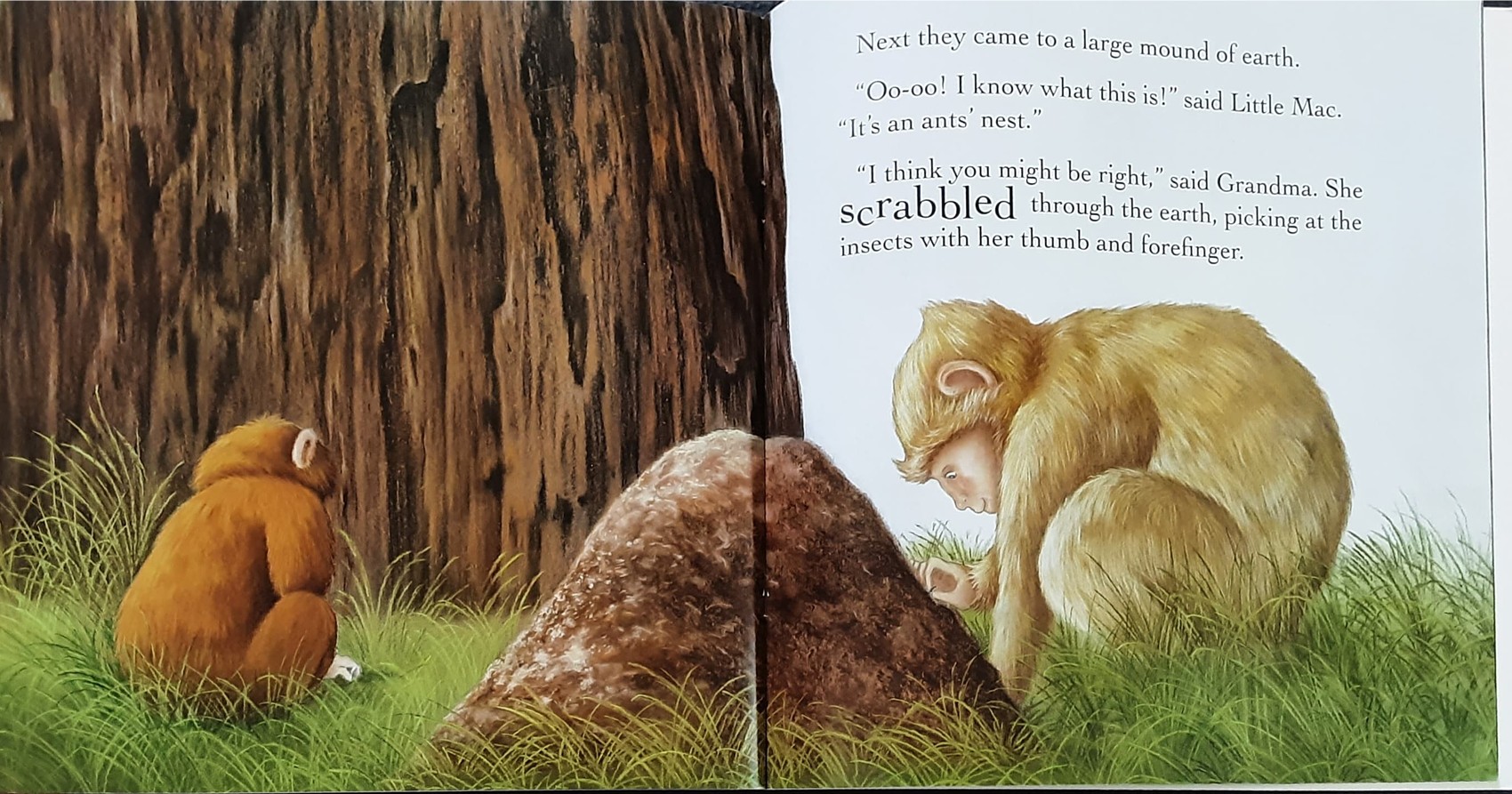 หนังสือนิทานปกอ่อน** 🍅🍓Grandma's Little Monkey