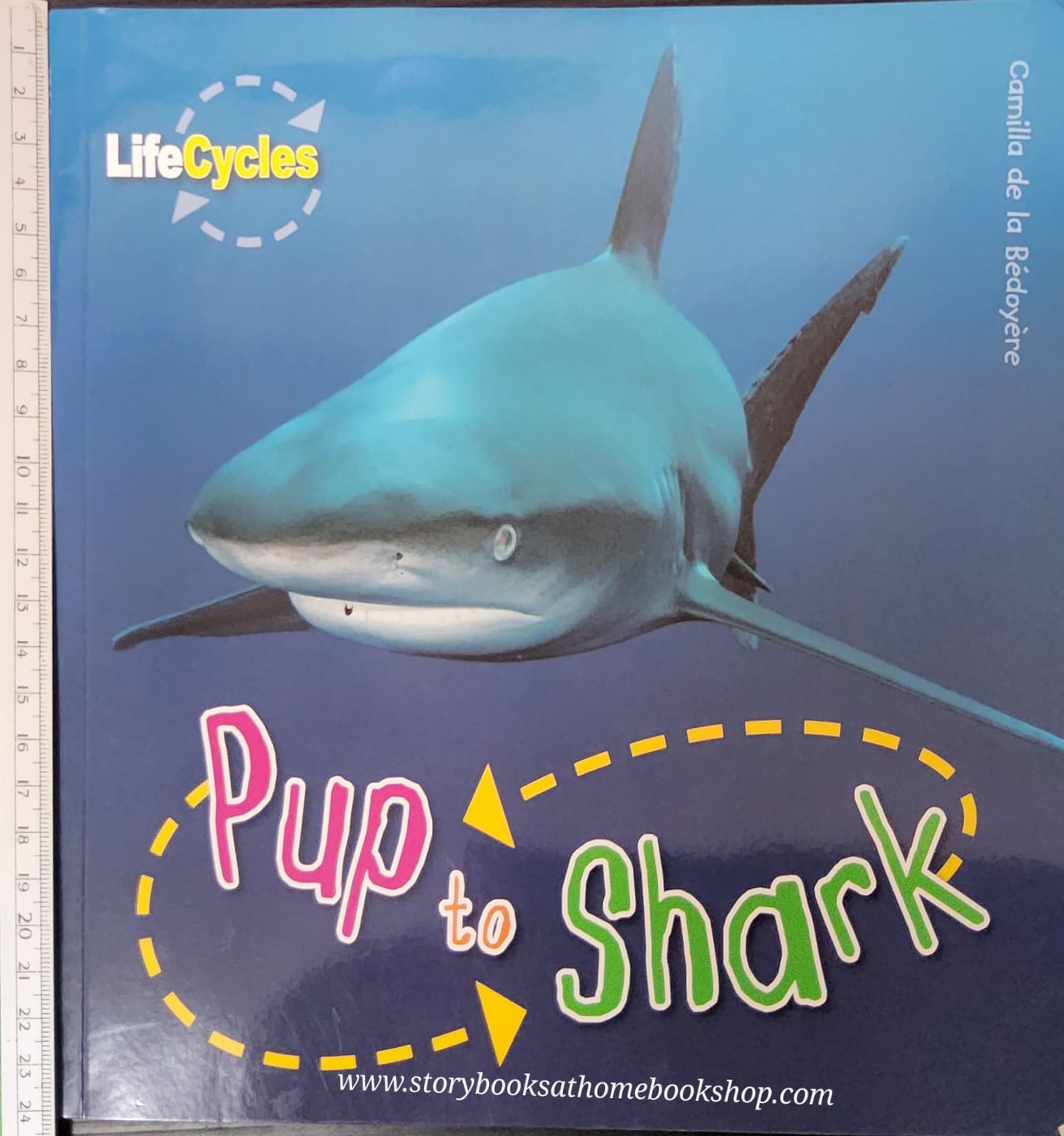 KNOWLEDGE BOOK** ♥️LIFECYCLE: PUP TO SHARK