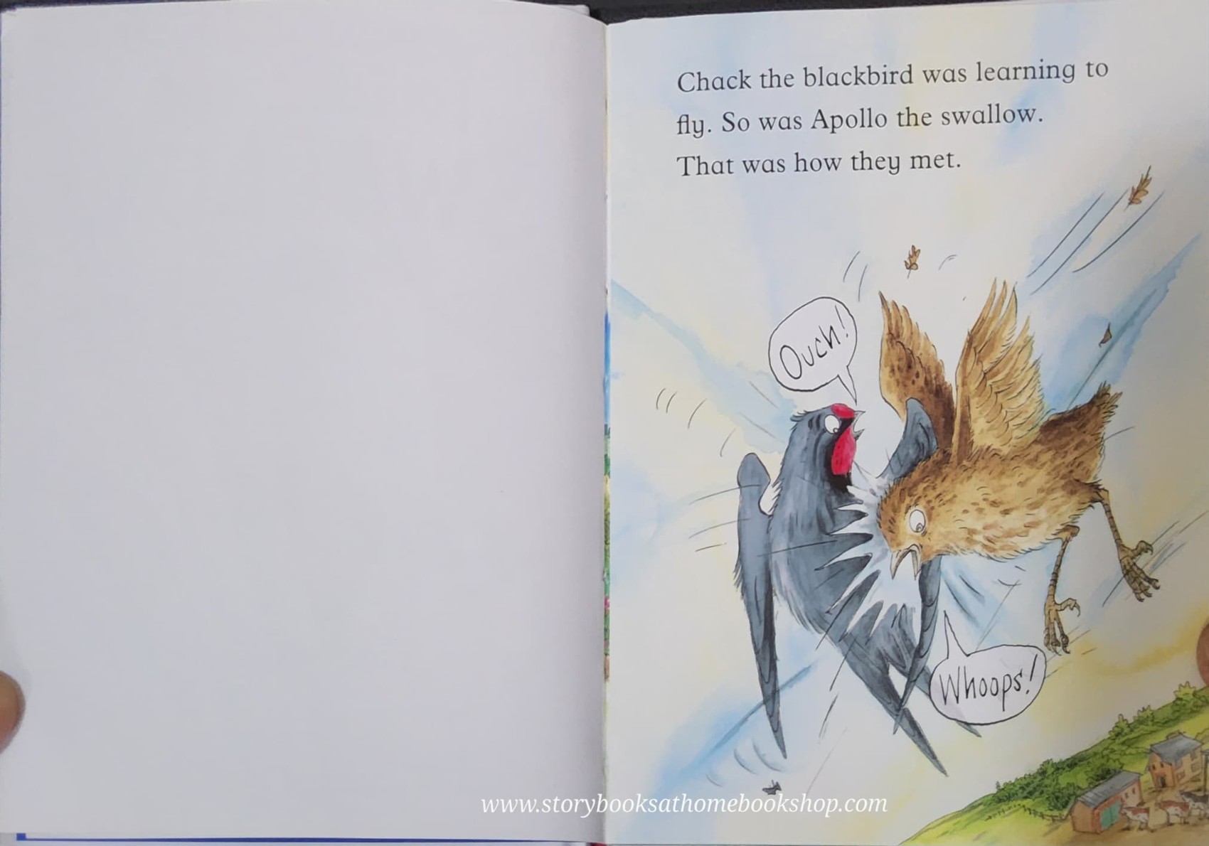 หนังสือนิทานปกแข็ง** 🍅🍓FOLLOW THE SWALLOW BY JULIA DONALDSON ♥️♥️