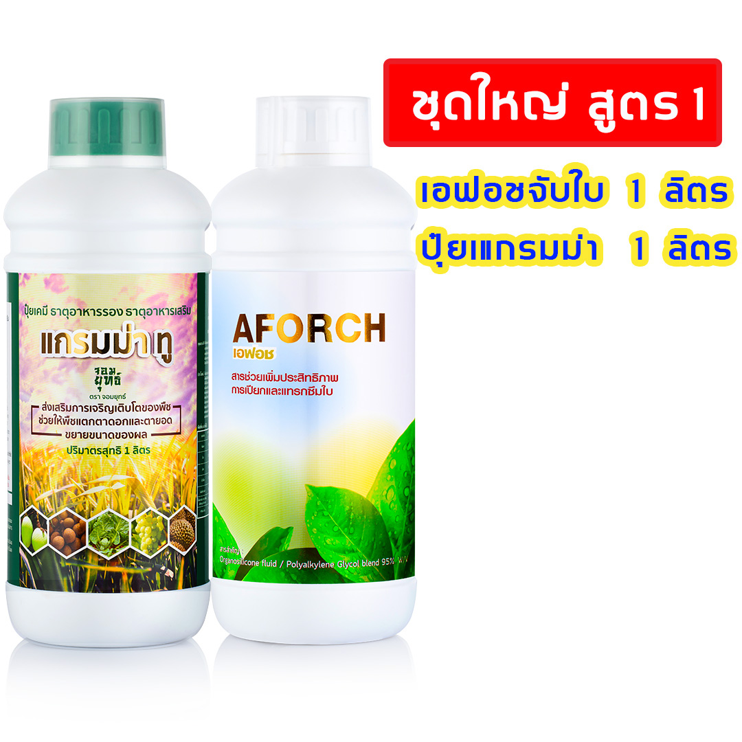 (1แถม1) เอฟอช Aforch แกรมม่าทู ปุ๋ยน้ำ โตไว ใบเขียวเข้ม เร่งดอก เร่งผล แตกยอด 1 ลิตร ชุดใหญ่