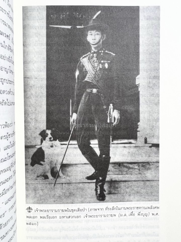 นายในสมัยรัชกาลที่ ๖ โดย : ชานันท์ ยอดหงษ์.