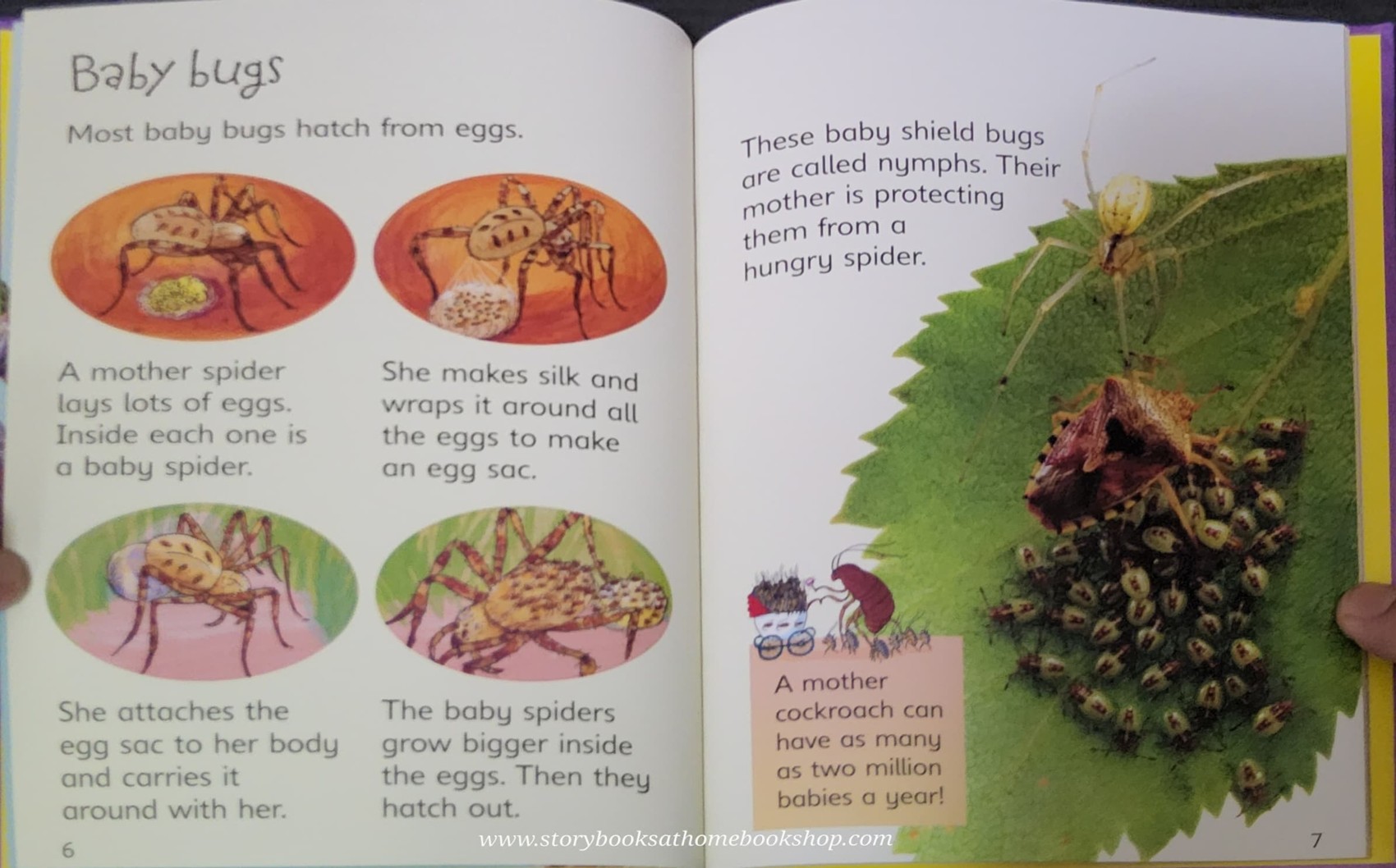 KNOWLEDGE BOOK** ♥️♥️USBORNE BUGS