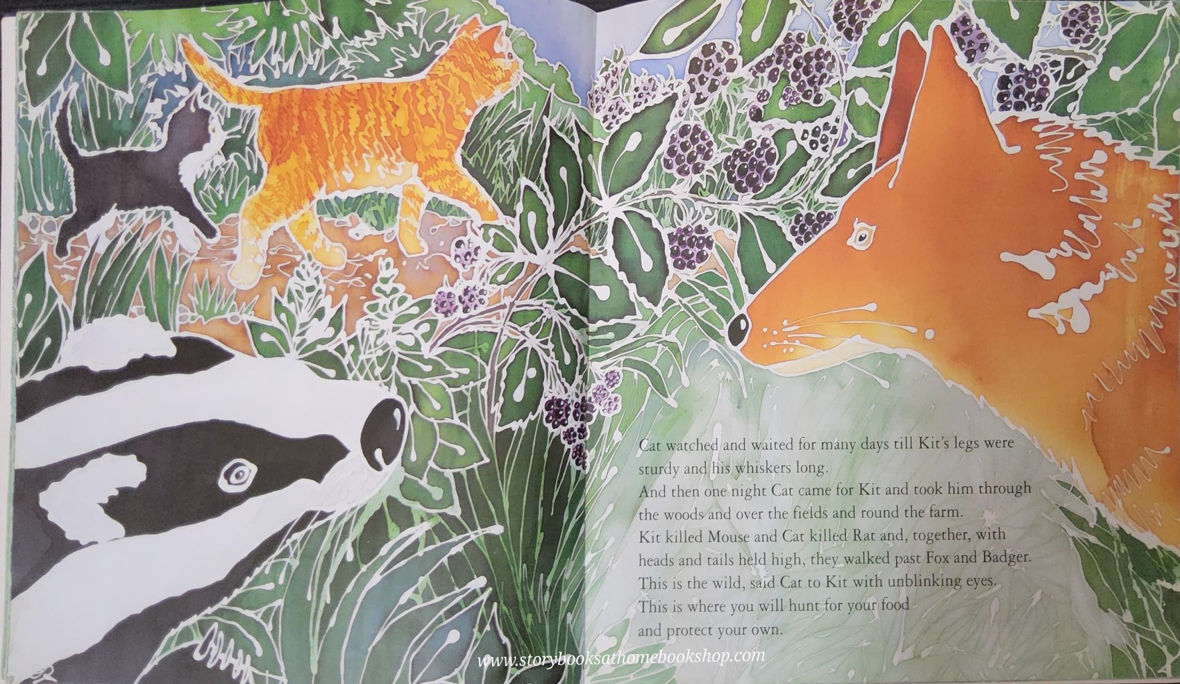 หนังสือนิทานปกอ่อน ** 🍅CAT&KIT