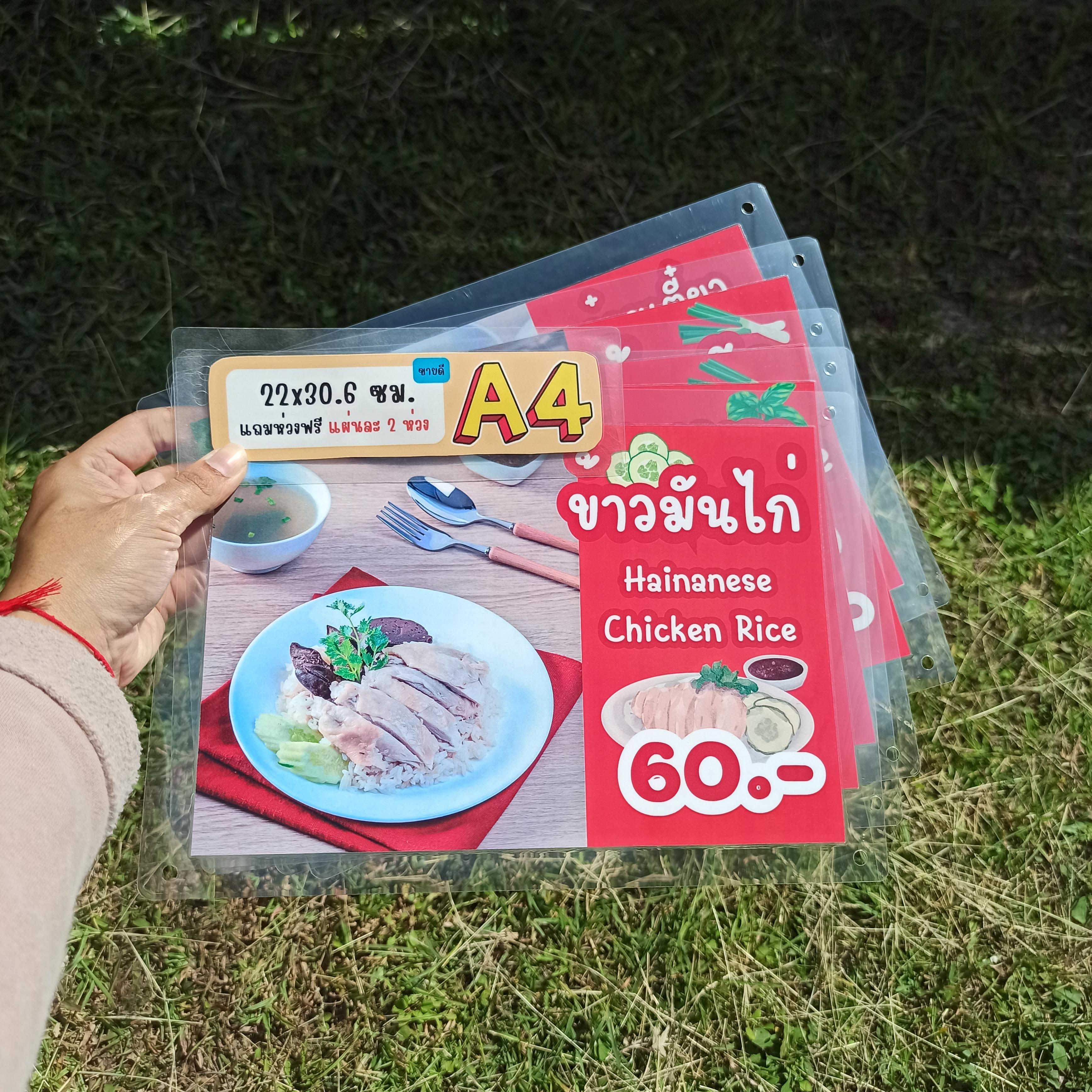 ชุดป้ายเมนู A4 ไทย-อังกฤษ 5 แผ่น | ผัดไทย, ข้าวผัด, ผัดกระเพรา, ก๋วยเตี๋ยวน้ำตก/น้ำใส, ข้าวมันไก่ | เพิ่มยอดขายร้านของคุณทันที! | รหัส 3979