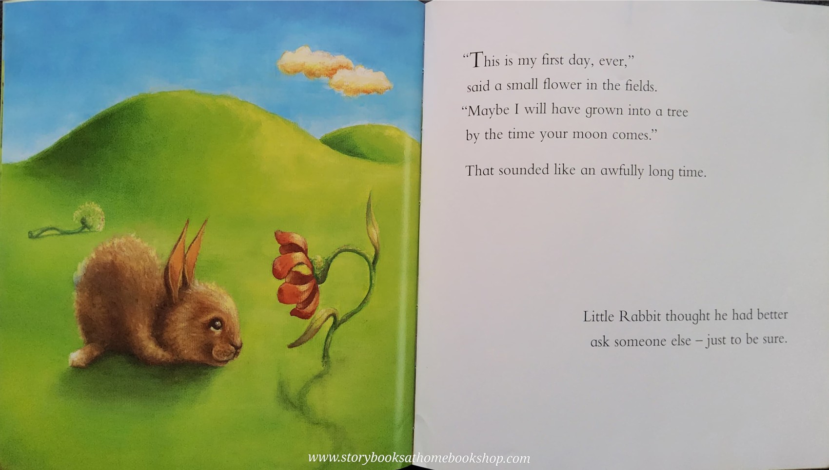 หนังสือนิทานปกอ่อน** 🍅🍅 LITTLE RABBIT COULDN'T SLEEP