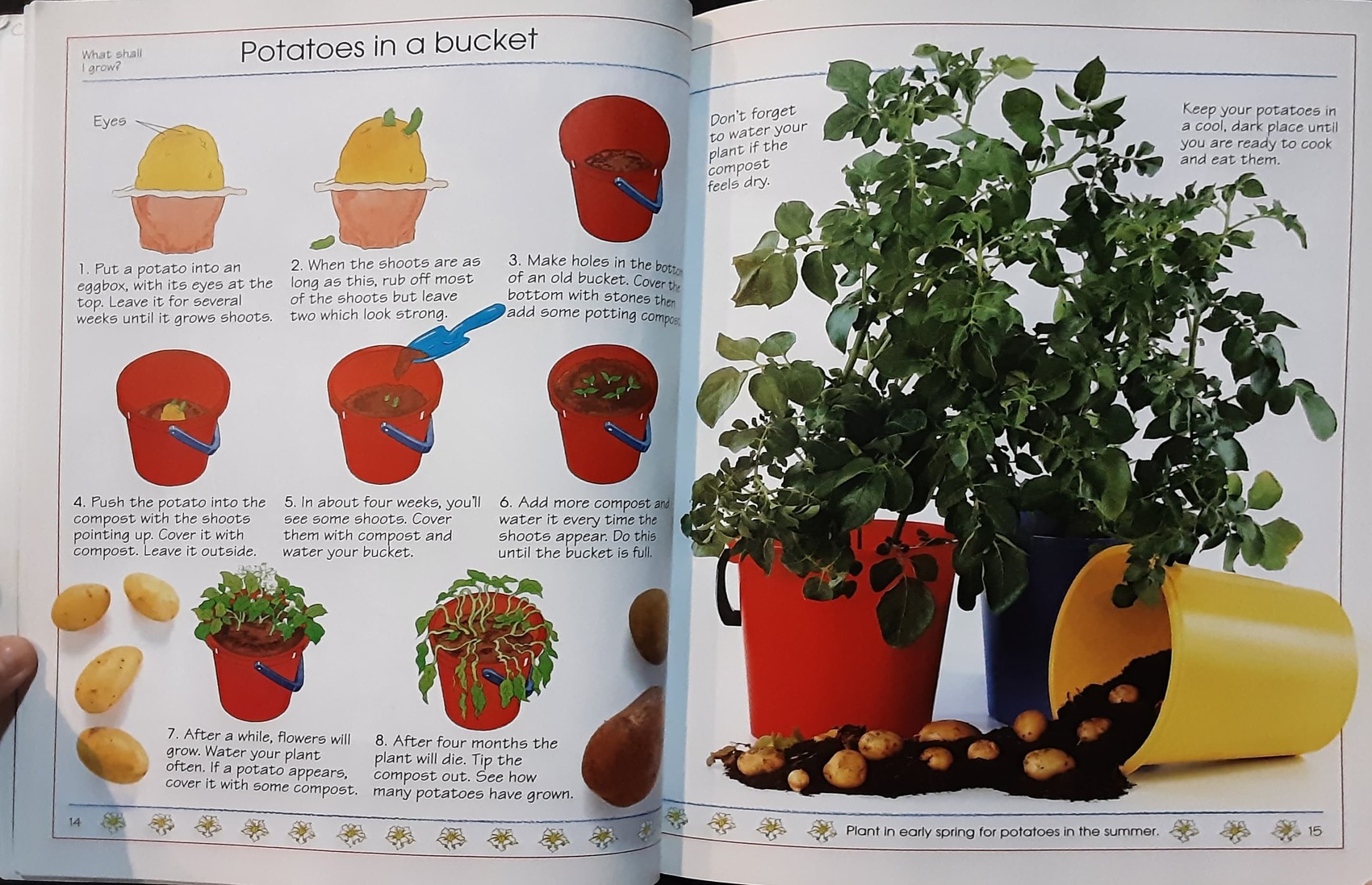 Knowledge Book หนังสือความรู้ 🍓🍓What shall I Grow?