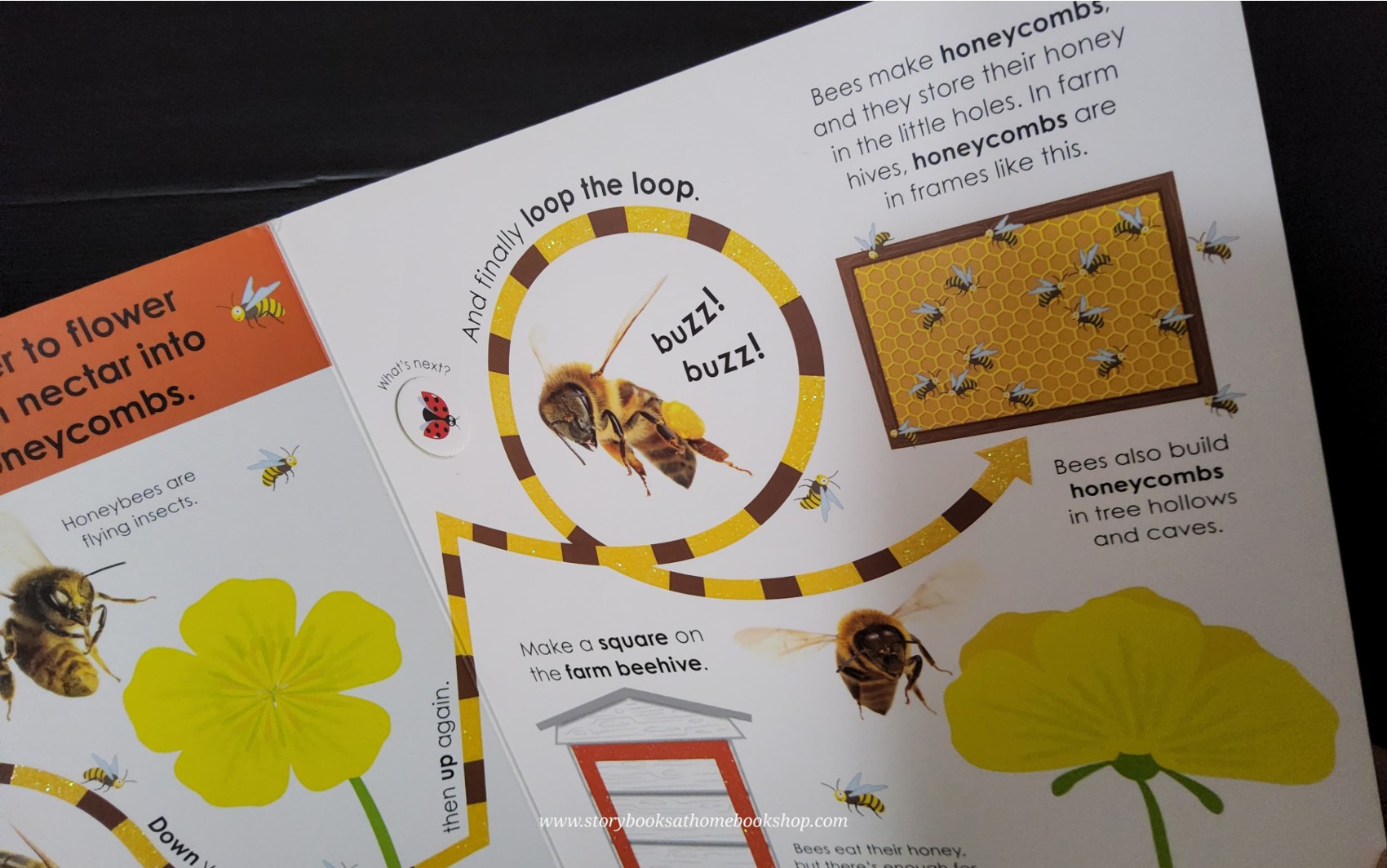 FUN FINGER TRAILS BOARD BOOK** ♥️FOLLOW THE TRAIL MINIBEASTS