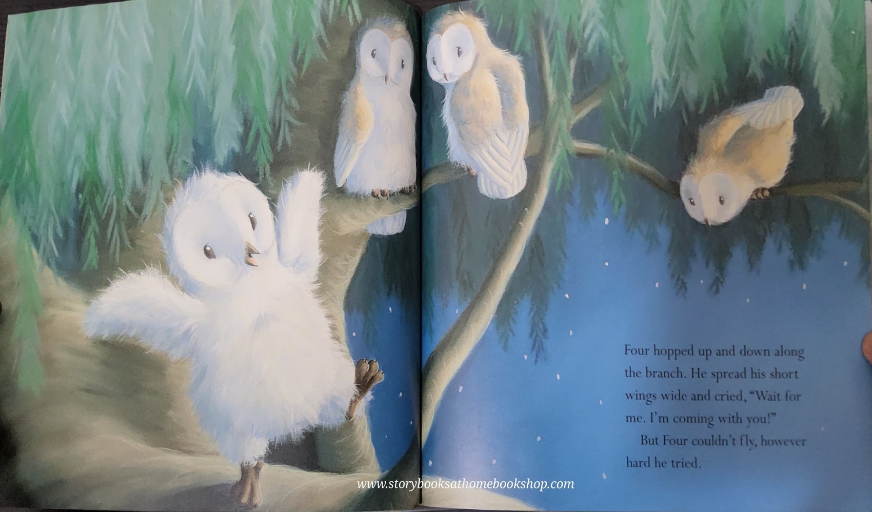 หนังสือนิทานปกอ่อน** 🍅🍅THE LITTLEST OWL BY CAROLINE PITCHER AND TINA MACNAGUHTON