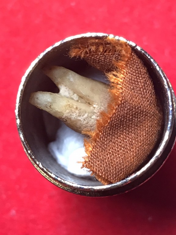 พระทันตธาตุครูบาแสง วัดร่องช้าง จ.ลำพูน ได้มาจากลุงประสิทธิ์ อดีตนายอำเภอ เวียงหนองล่อง อายุ 74 ปี เล่าว่าได้มา เมื่อสมัยที่ท่านเป็นปลัดอำเภอ อ.ป่าซาง เมื่อปี 2532 ได้จากผู้ช่วยผู้ใหญ่บ้านใน อ.ป่าซาง ซื่อว่าวิโรจน์ซึ่งมีศักดิ์เป็นหลานครูบาแสง