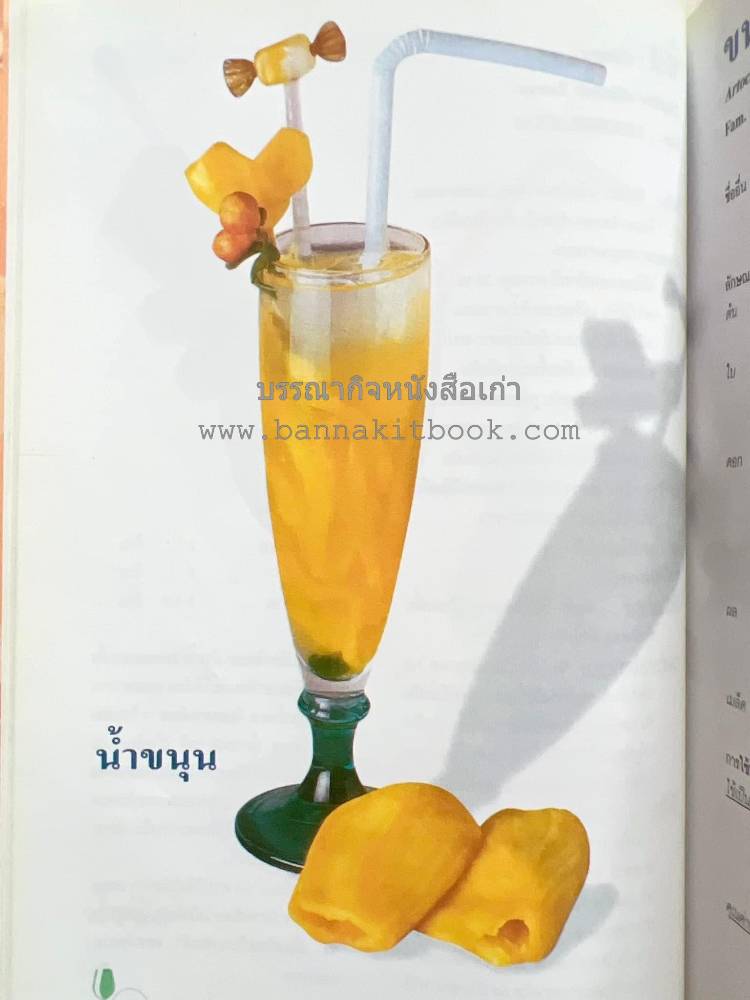 น้ำสมุนไพร 108 สูตร-วิธีทำจากผักพื้นบ้านและผลไม้ไทย โดย สถาบันการแพทย์แผนไทย.