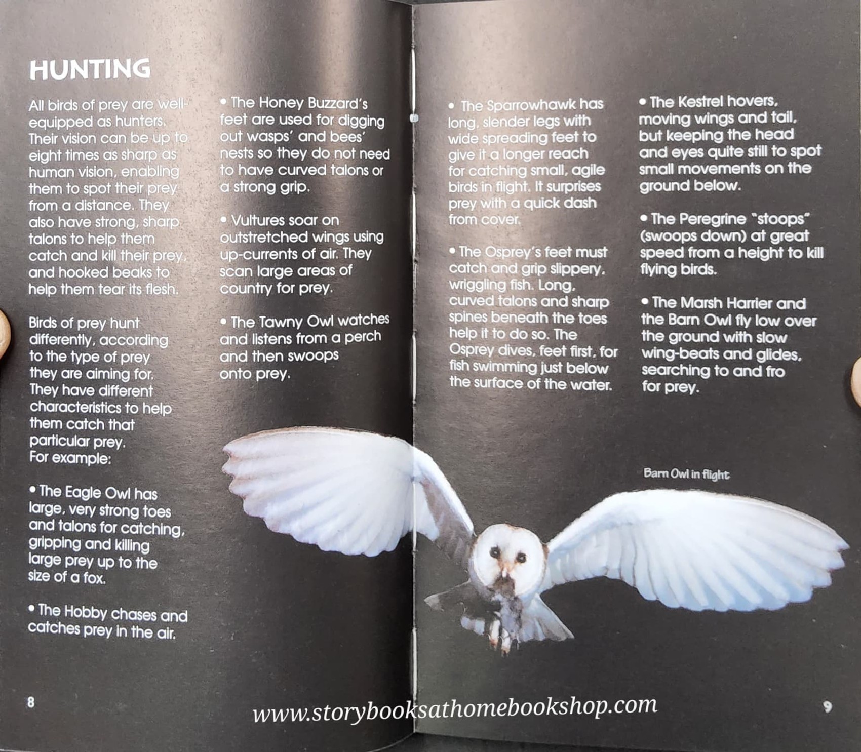 Knowledge Book** ð
ð
Usborne Spotter's Guide BIRDS OF PREY