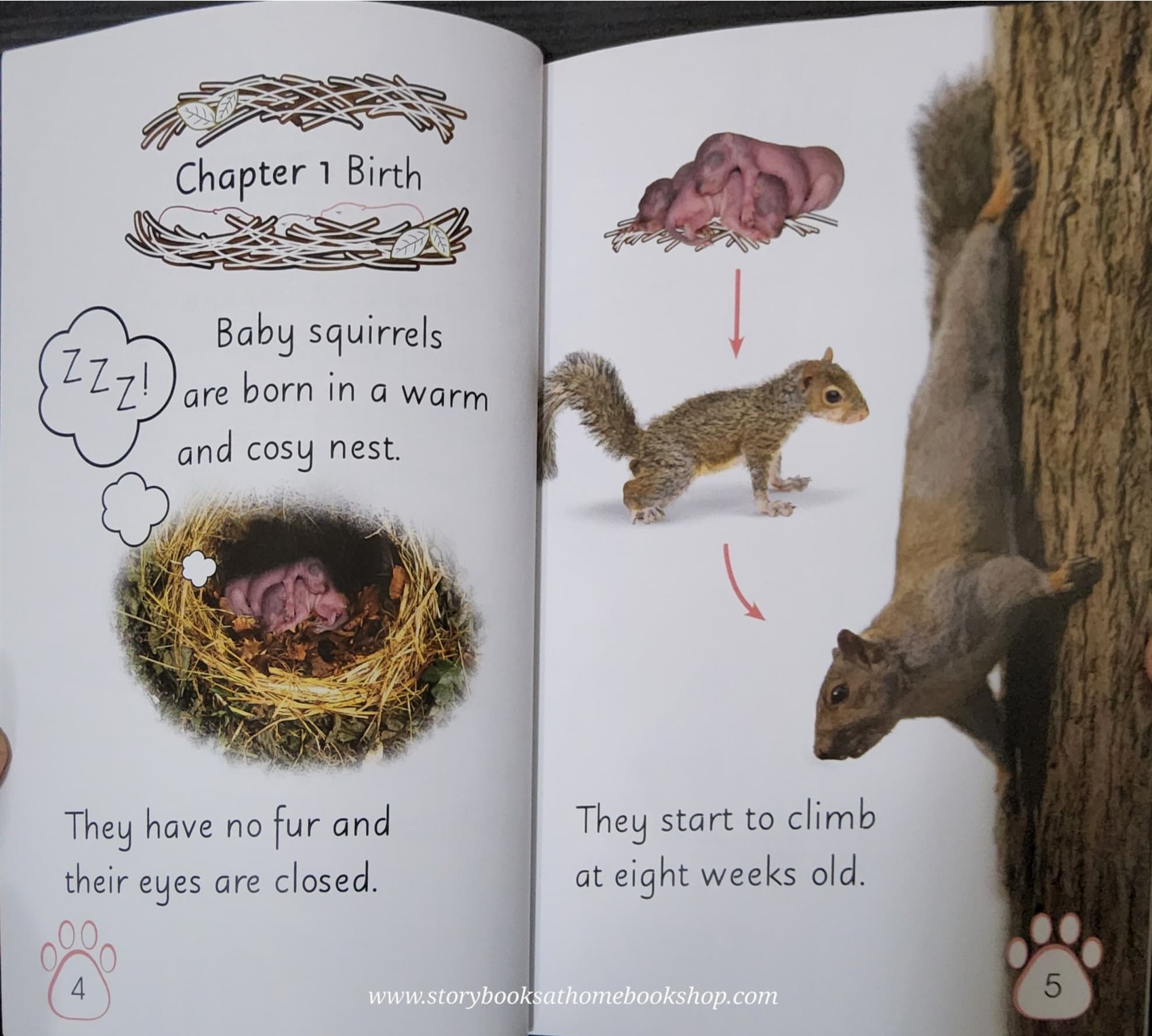 หนังสือนิทานปกอ่อน** 🍅🍓DK LEVEL2:WILD BABY ANIMALS
