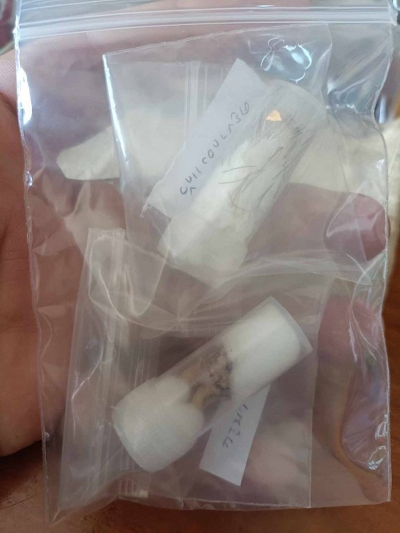 พระทันตธาตุครูบากองแก้ว วัดต้นยางหลวง จ.เชียงใหม่ ได้มาจากกำนันคำ อดีตกำนันบ้านปากกอง อ.สารภี จ.เชียงใหม่ ปัจจุบันอายุ 86 ปี (บันทึก พ.ศ.2566) กำนันคำจะมีคนคอยหาวัตถุมงคลให้ ชื่อว่าลุงสมควรปัจจุบันเสียชีวิตแล้ว ถ้ามีชีวิตอยู่น่าจะมีอายุประมาณ 70 ปี