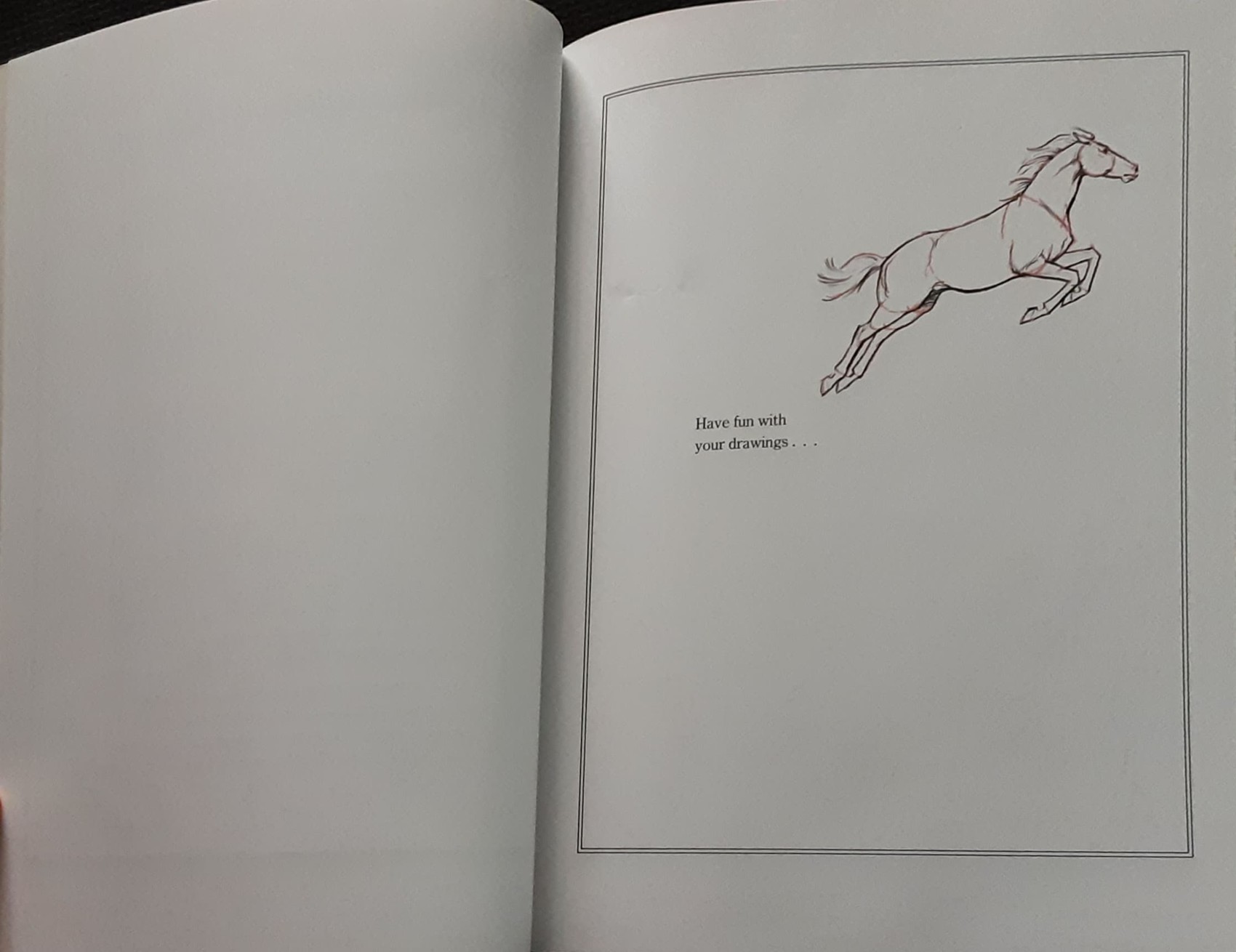 Knowledge Book** 🍅🍓DRAW 50 HORSES