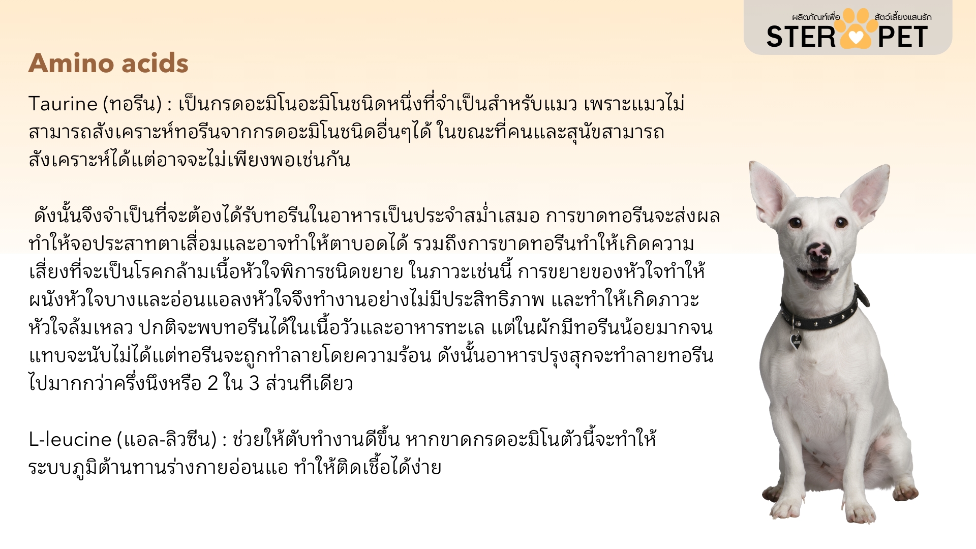 เซตทดลอง สเตอร์ เพ็ท Ster Pet เนื้องอกหมาแมว ก้อนเนื้อหมาแมว มะเร็งสุนัขแมว ลดอักเสบ ลดขนาดก้อนเนื้อ เบื่ออาหาร น้ำหนักลด ไตวายหมาแมว แผลยุบเร็ว ( 15 แคปซูล)