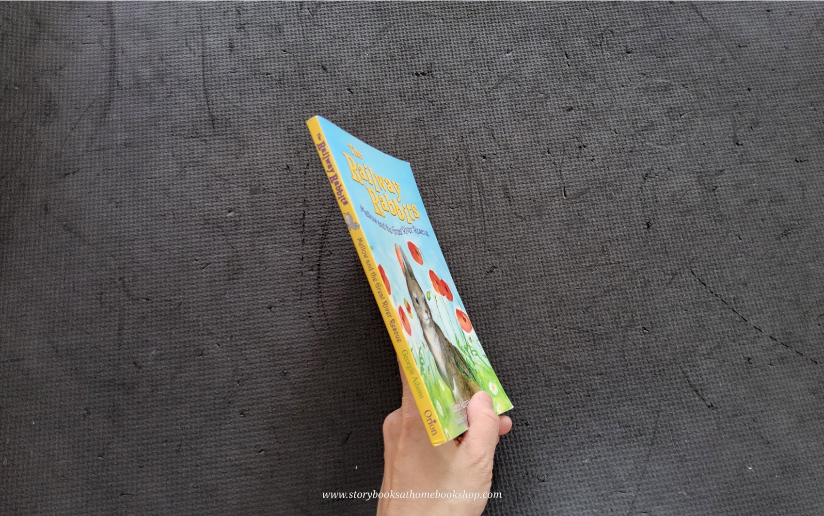 วรรณกรรมเยาวชน** 🍅The Railway Rabbites: Mellow and the Great River Rescue by Georgie Adams Anna Currey