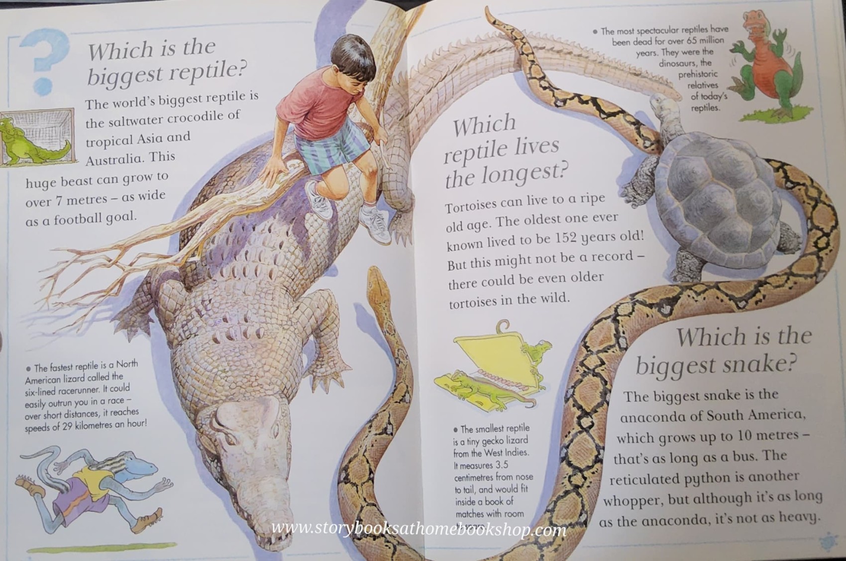 KNOWLEDGE BOOK** 🍅🍓I Wonder Why SNAKES SHED THEIR SKIN and other questions about reptiles