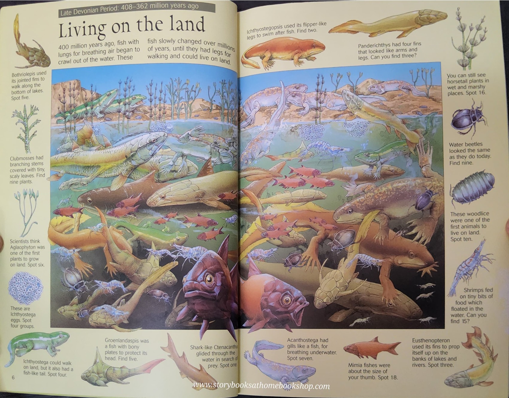 PUZZLE BOOK** ð
USBORNE THE GREAT DINOSAUR SEARCH