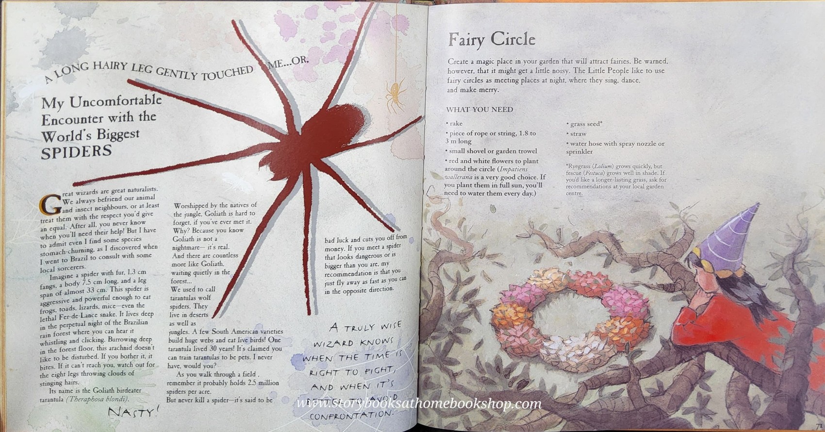 หนังสือนิทานปกแข็ง** 🍅THE BOOK OF WIZARD CRAFT