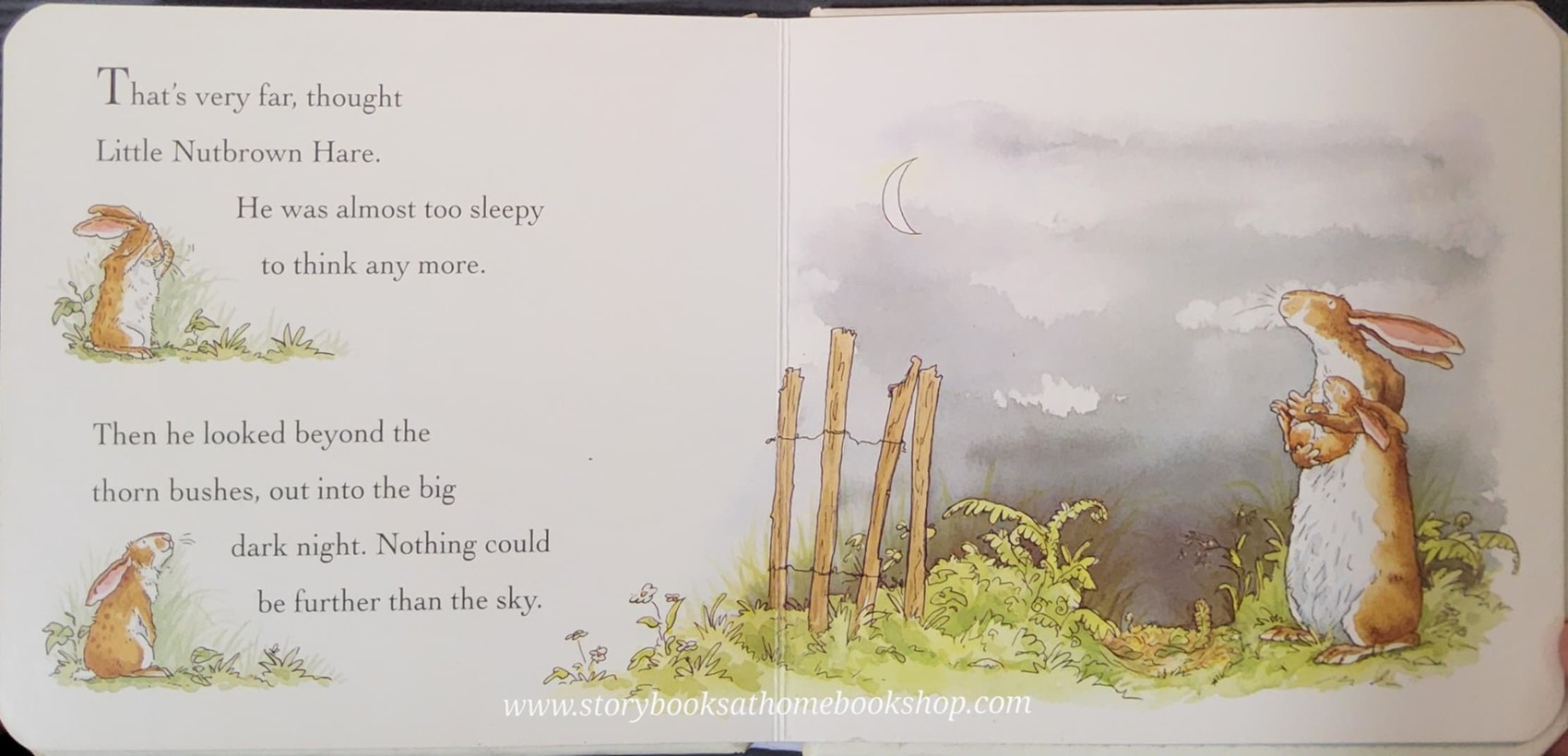 BOARD BOOK** 🍅🍓GUESS HOW MUCH I LOVE YOU BY SAM MCBRATNEY