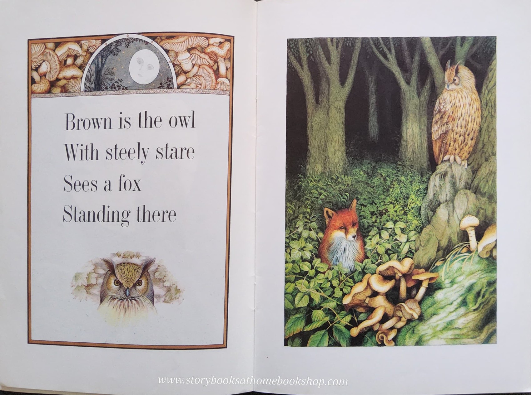 หนังสือนิทานปกอ่อน** ♥️WHITE IS THE MOON BY VALERIE GREELEY