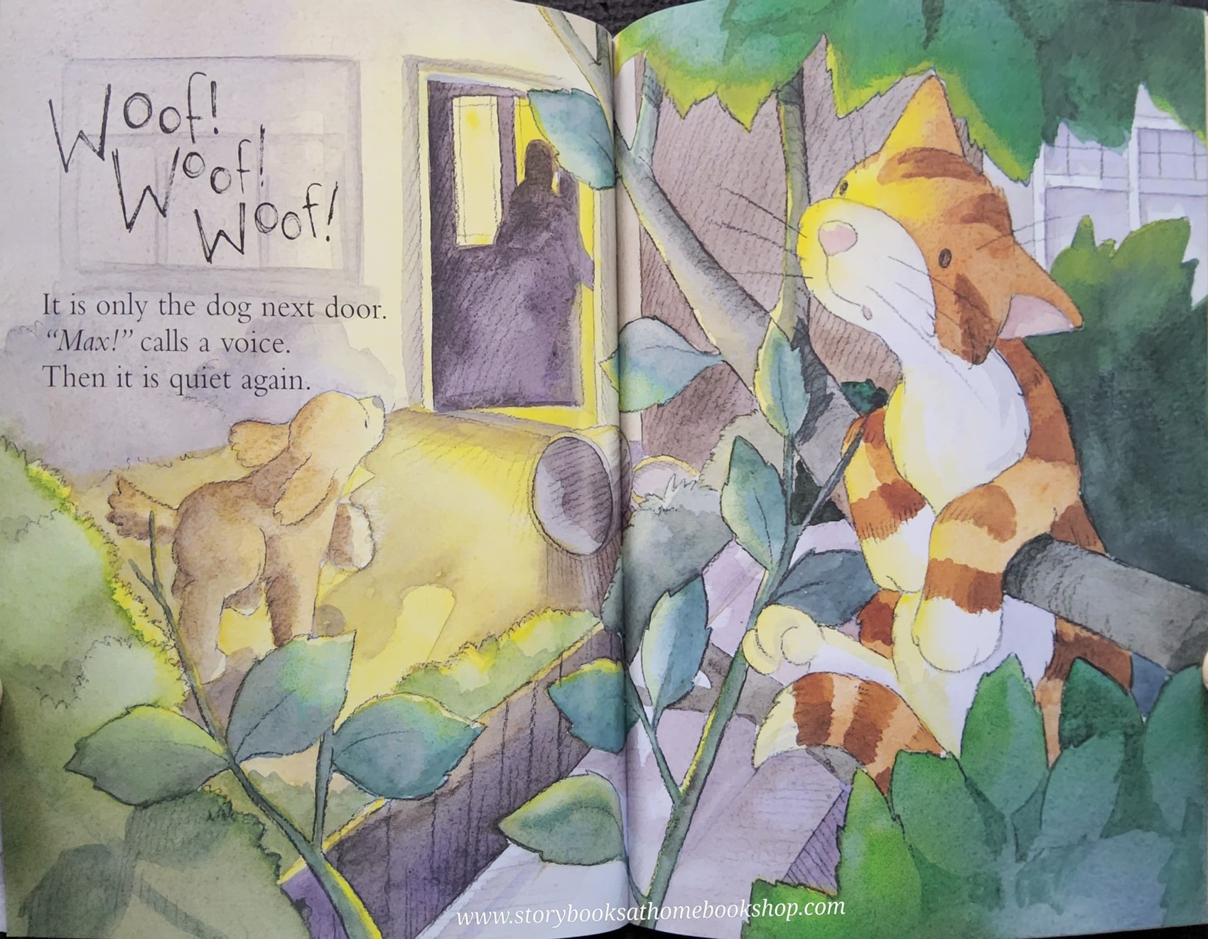 หนังสือนิทานปกอ่อน** ♥️♥️TOFFEE'S NIGHT NOISES BY SALLY CHAMBERS