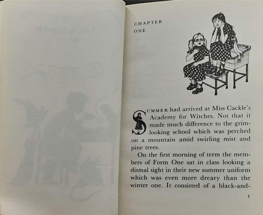 วรรณกรรมเยาวชน** **หนังสือนิทานปกอ่อน** 🍅🍓THE WORST WITCH STRIKES AGAIN