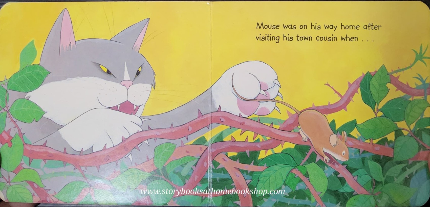 BOARD BOOK** 🍅🍓IT COULD HAVE BEEN WORSE