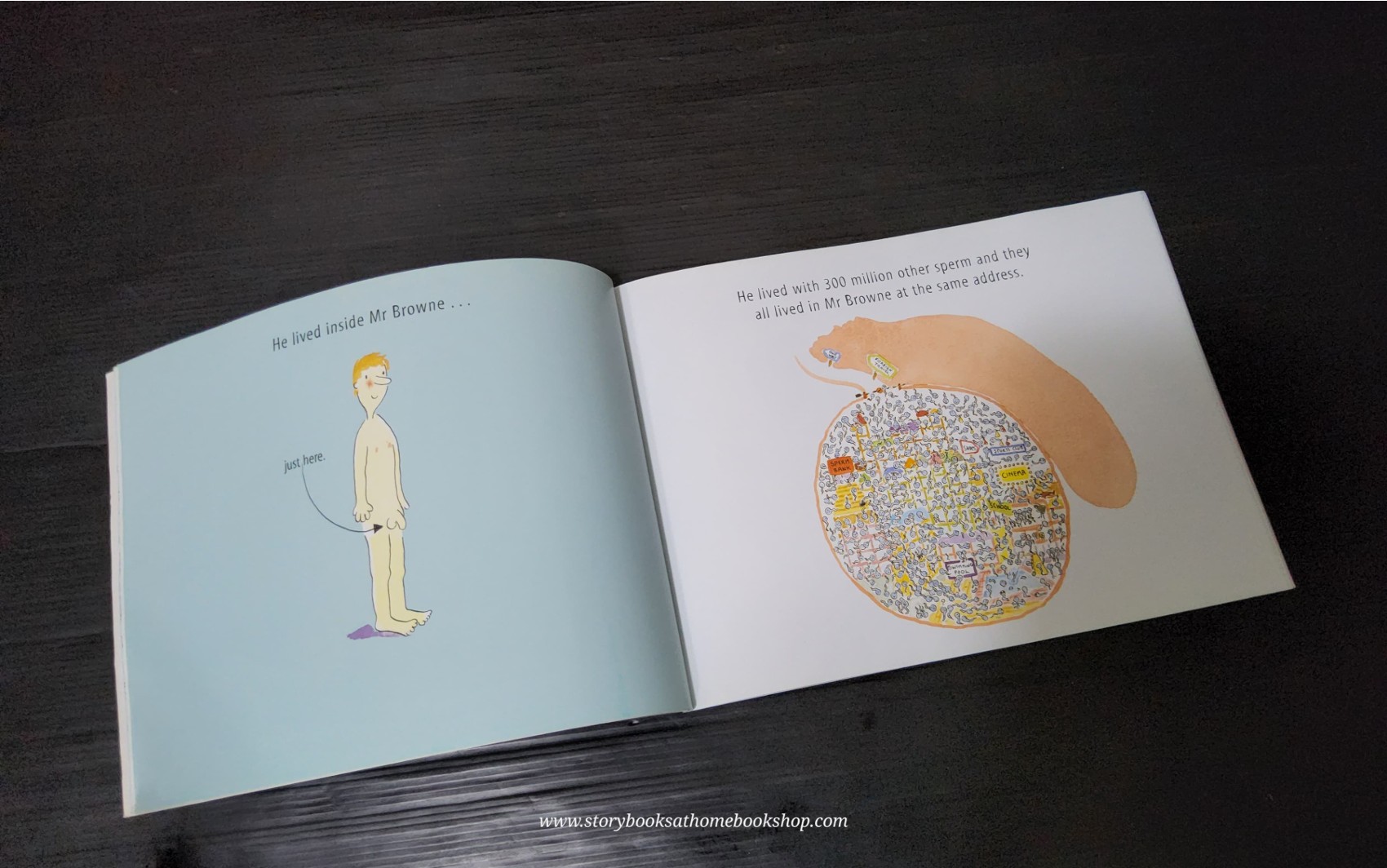 หนังสือนิทานปกอ่อน** 🍅🍅WHERE WILLY WENT BY NICHOLAS ALLAN