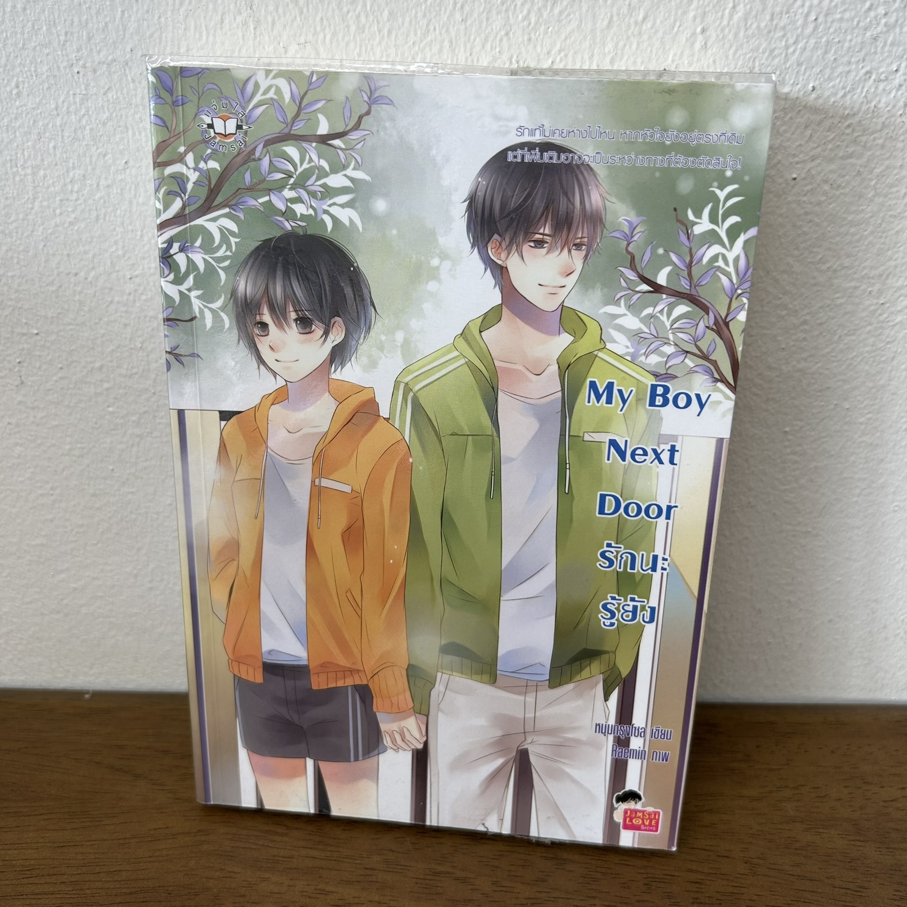 My Boy Next Door รักนะรู้ยัง ... หนุ่มกรุงโซล (มือสอง) นิยาย แจ่มใส เลิฟซีรีส์