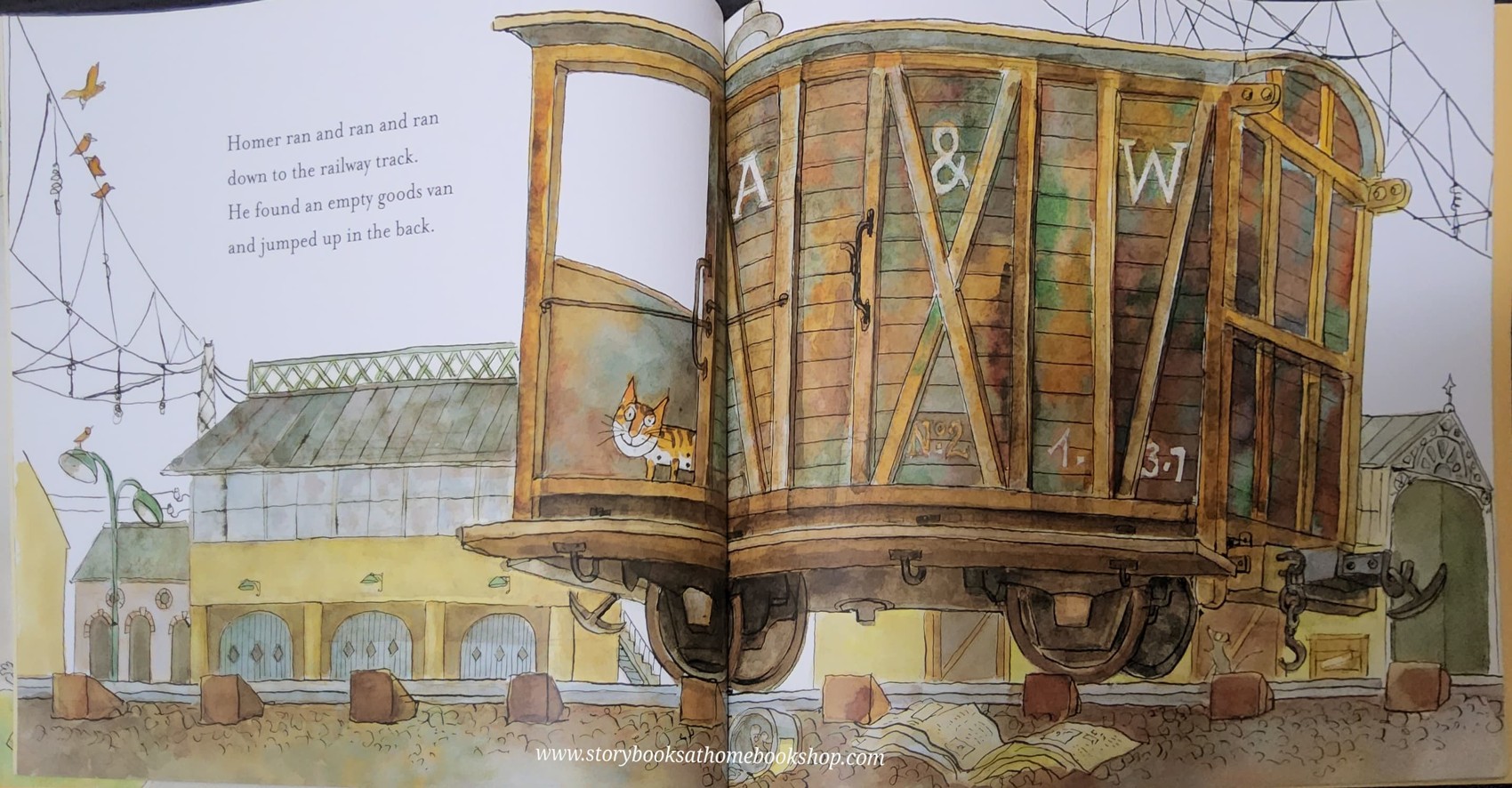 หนังสือนิทานปกอ่อน** 🍅🍓 HOMER THE LIBRARY CAT