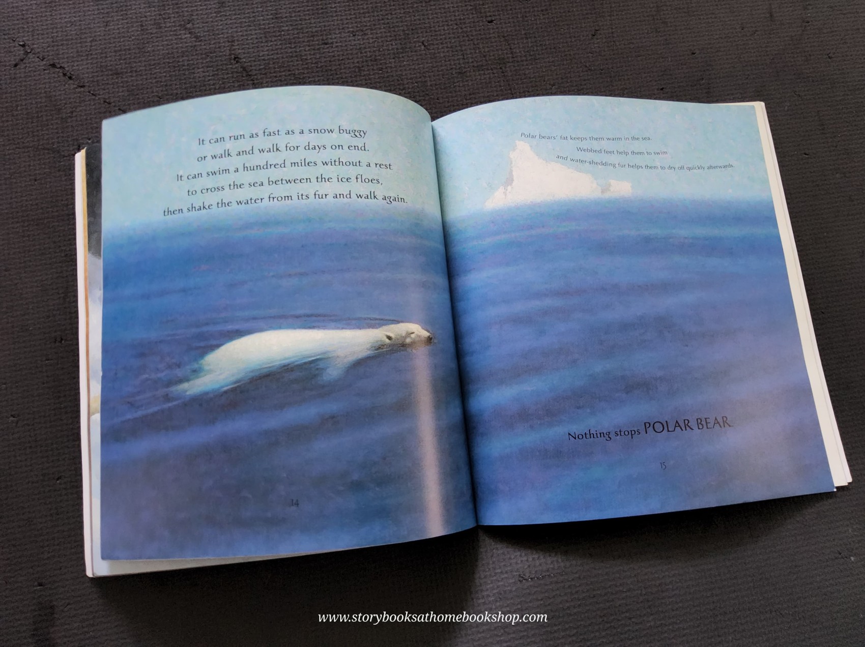 หนังสือนิทานปกอ่อน ** 🍅🍅ICE BEAR BY NICOLA DAVIES (NATURE STORYBOOK)