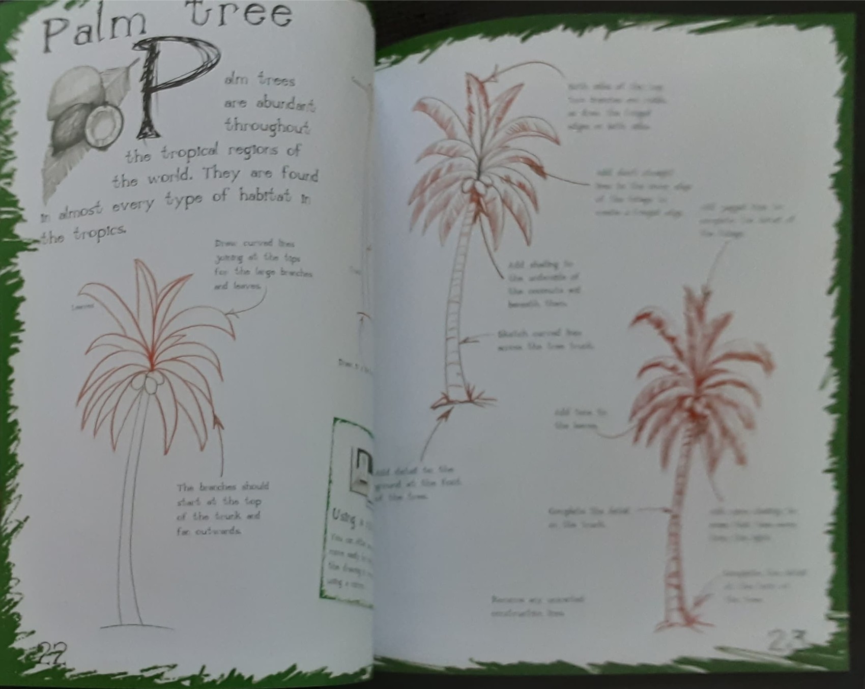DRAWING BOOK** 🍅🍓HOW TO DRAW TREES AND WOODLAND
