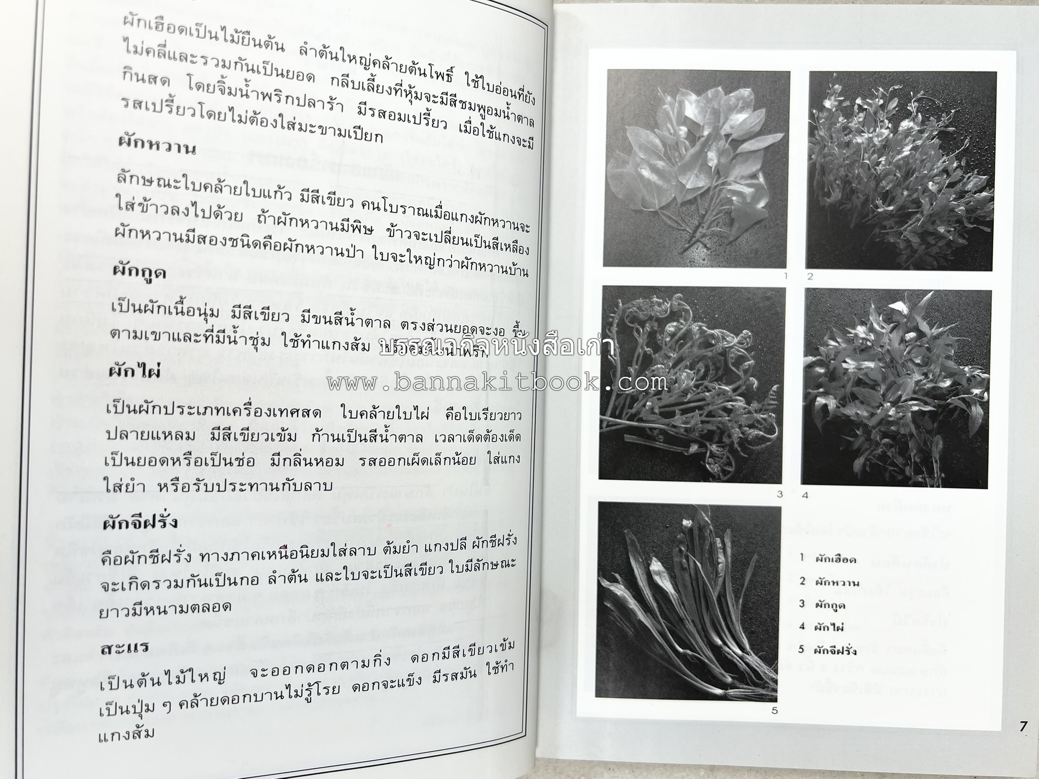 อาหารเหนือ โดย : อาจารย์ศรีสมร คงพันธุ์ (พิมพ์ครั้งแรก).