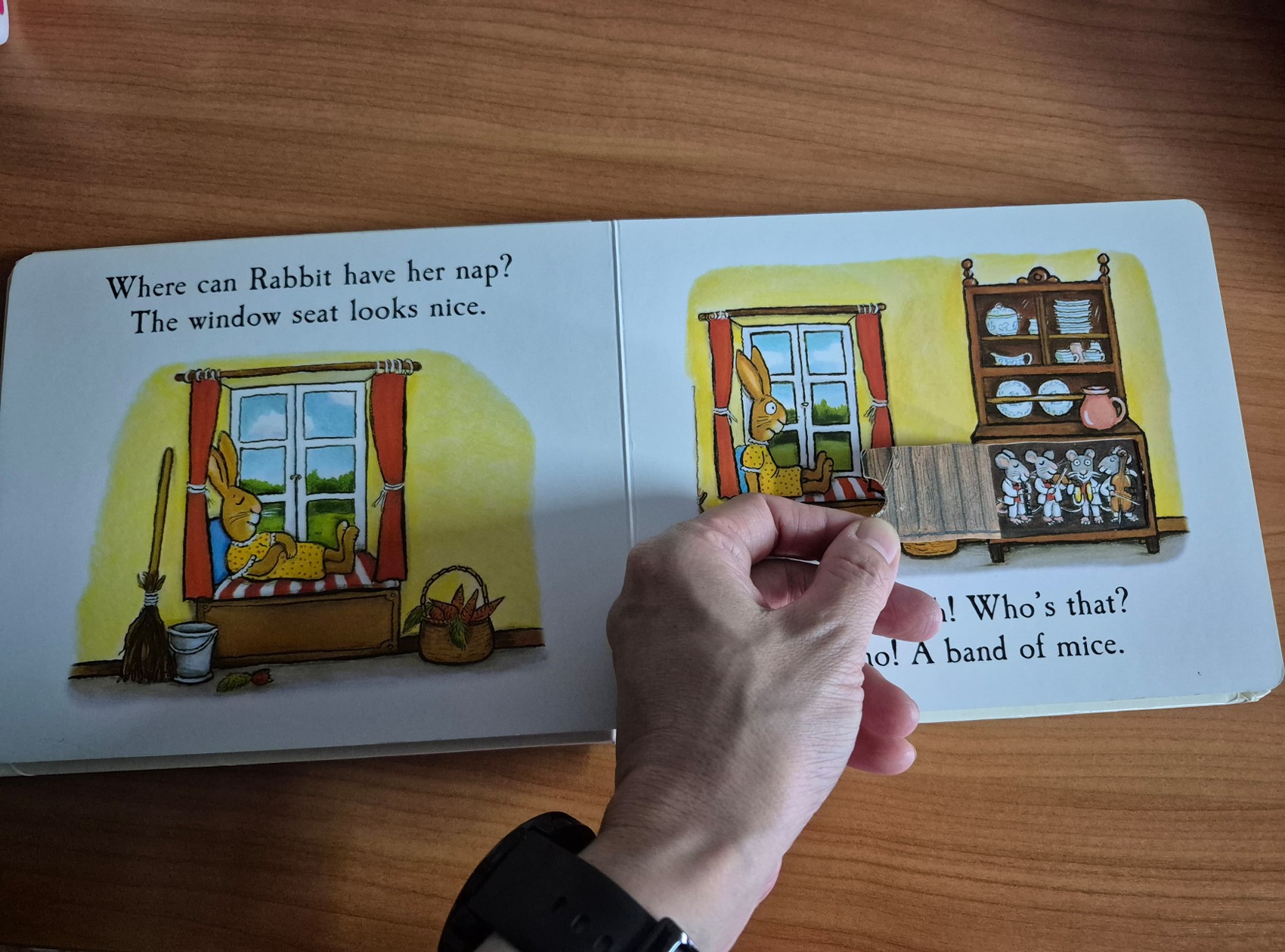 LIFT THE FLAP BOARD BOOK** 🍅🍓 RABBIT'S NAP BY JULIA DONALDSON.AXEL SCHEFFLER