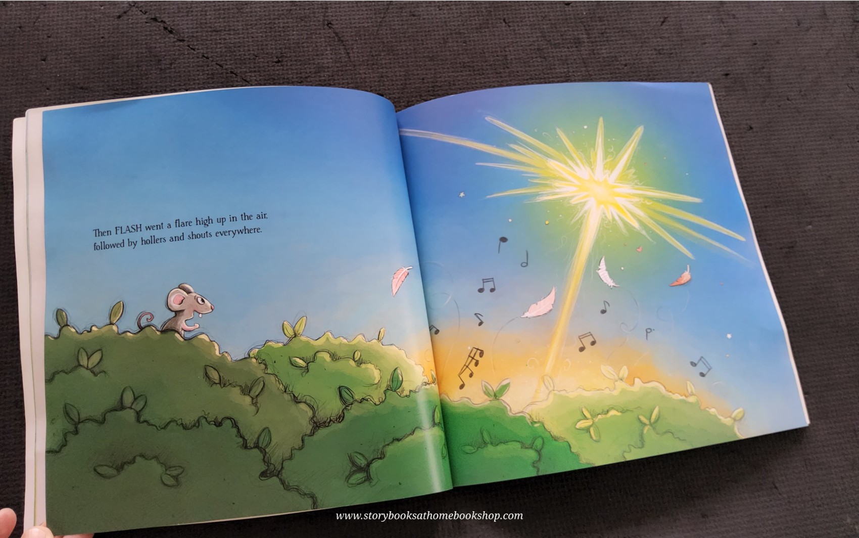 หนังสือนิทานปกอ่อน** 🍅🍓THE GREAT ZOO HULLABALOO!