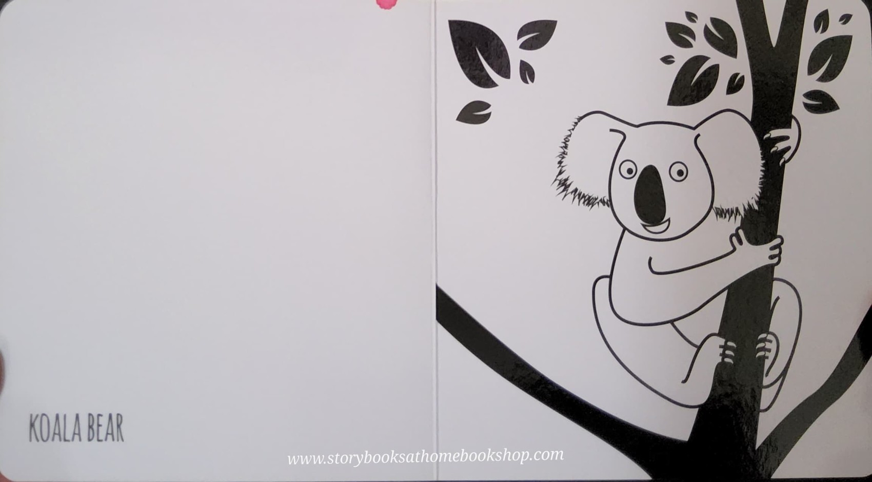 BOARD BOOK** 🍅🍅EXTRAORDINARY ANIMALS FROM THE LAND OF OZ BY RUTH BRADFORD