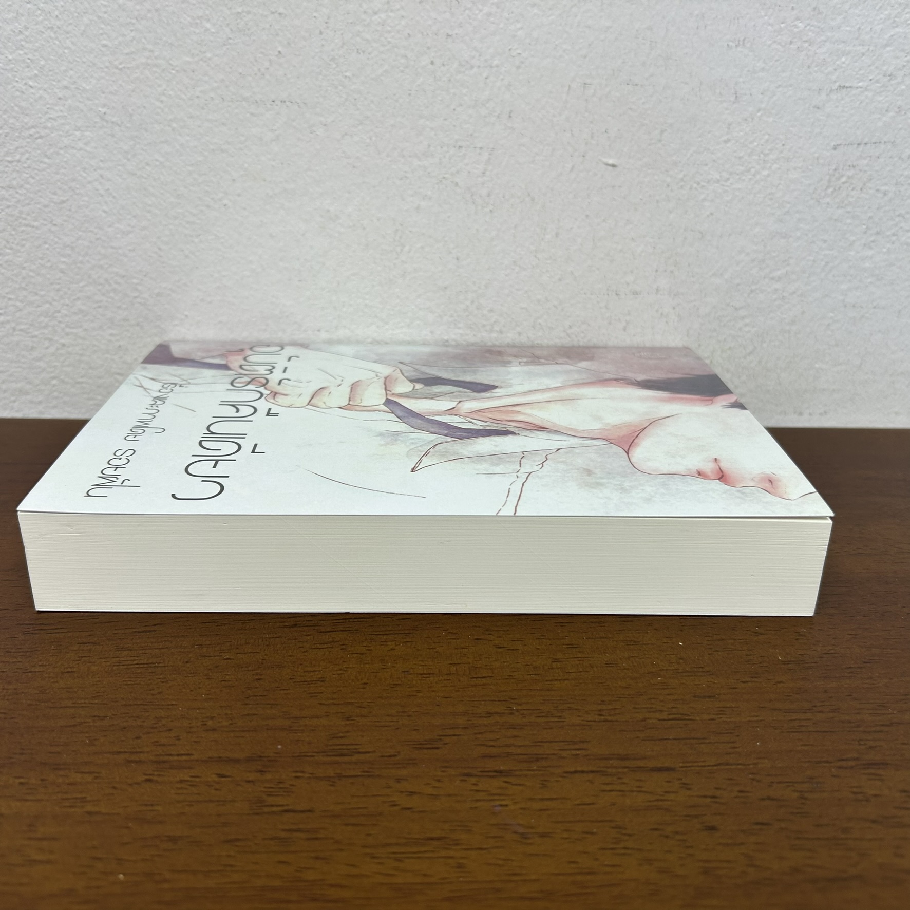 อุบัติรักคืนเดียว ... รอยฝัน (มือสอง) นิยาย โรแมนติก ทำมือ