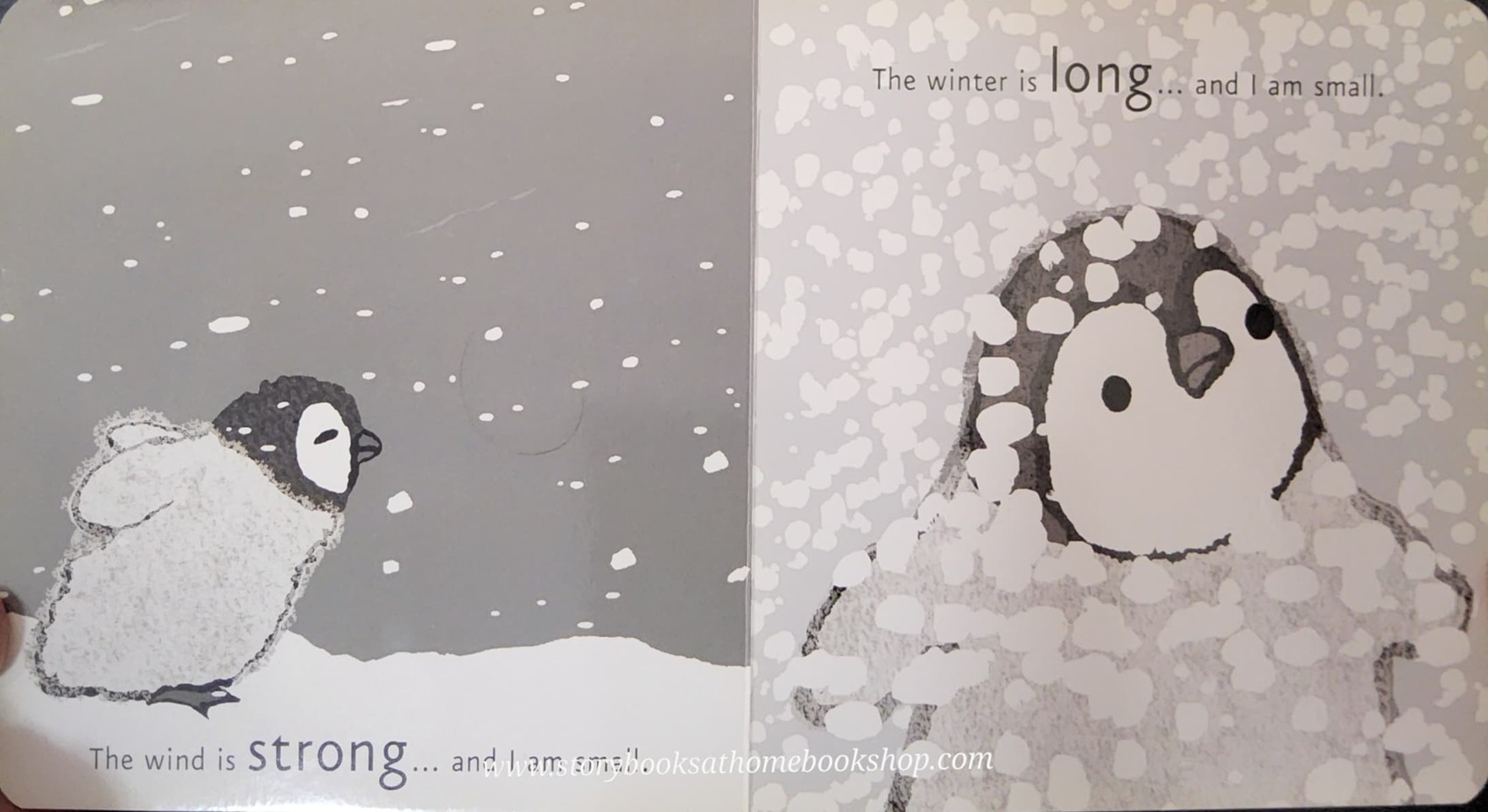 BOARD BOOK** ♥️ME.. BY EMMA DODD