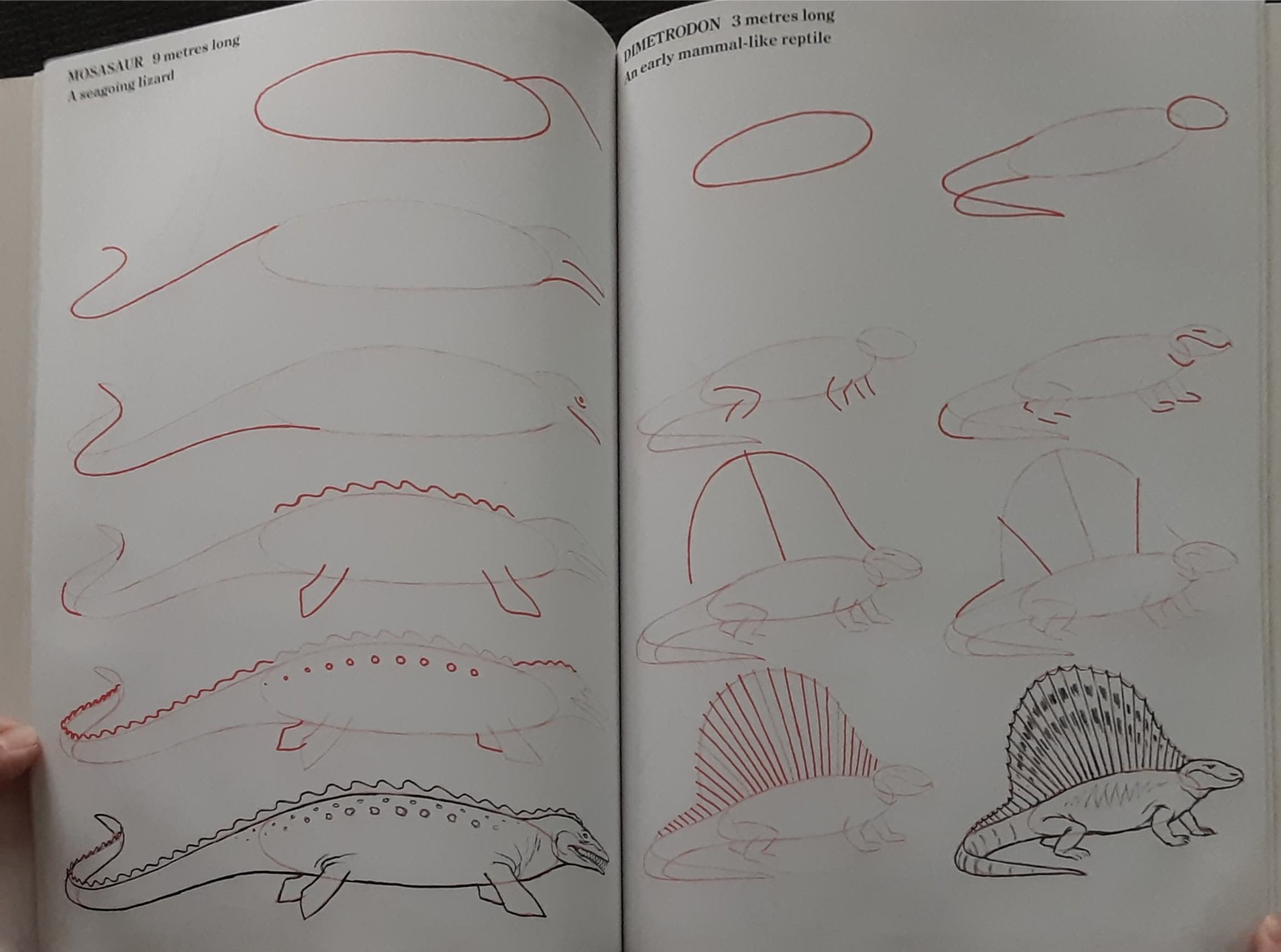 Knowledge Book** ð
ðDRAW 50 DINOSAURS AND OTHER PREHISTORIC ANIMALS