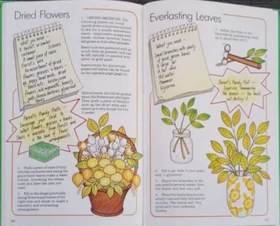 CRAFTY ACTIVITY BOOK** ð
ðCRAFTY IDEAS FROM NATURE