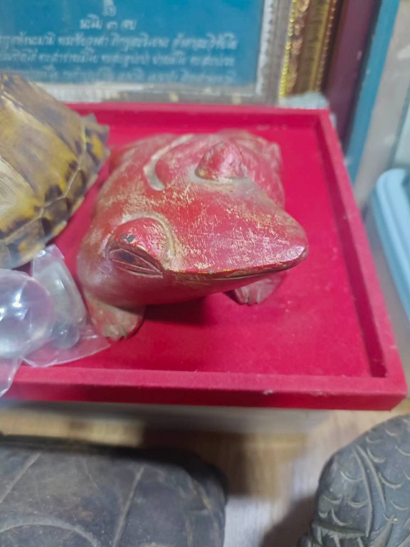 กบแดง ไม้แกะ มีรอยจาร ครูบาชัยยยะวงศา วัดพระพุทธบาทห้วยต้ม จ,ลำพูน ได้มาจากหนานป๋อง อายุ 64 ปี เคยบวชรับใช้ครูบาวงศ์ สึกเมื่อปี 2553 สึกออกมาเป็นฆาราวาส อาศัยอยู่ที่บ้านป่าไผ่ อ.ลี้ ได้รับของหลายชิ้นมาจากครูบาวงศ์ หลวงปู่เสกให้ในกุฏิ มอบให้หนานป๋อง