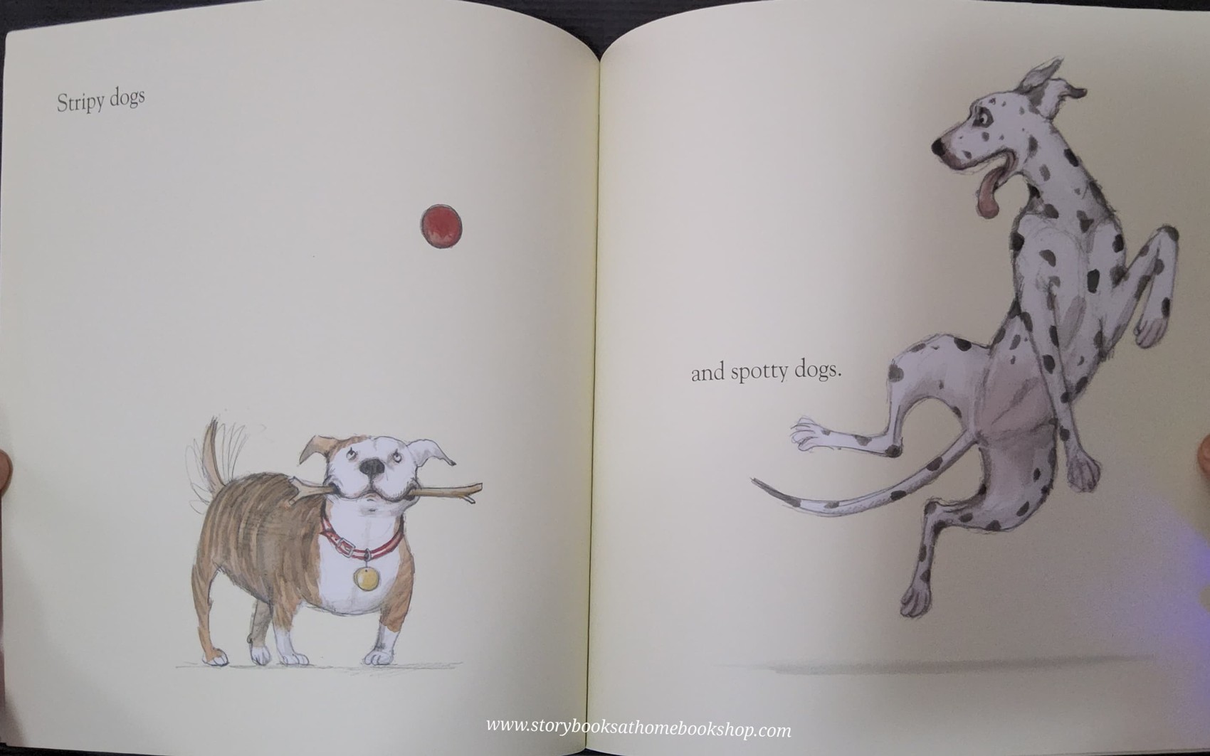THE WINNER OF THE KATE GREENAWAY MEDAL** ** หนังสือนิทานปกอ่อน** 🍅🍓DOGS BY EMILY GRAVETT